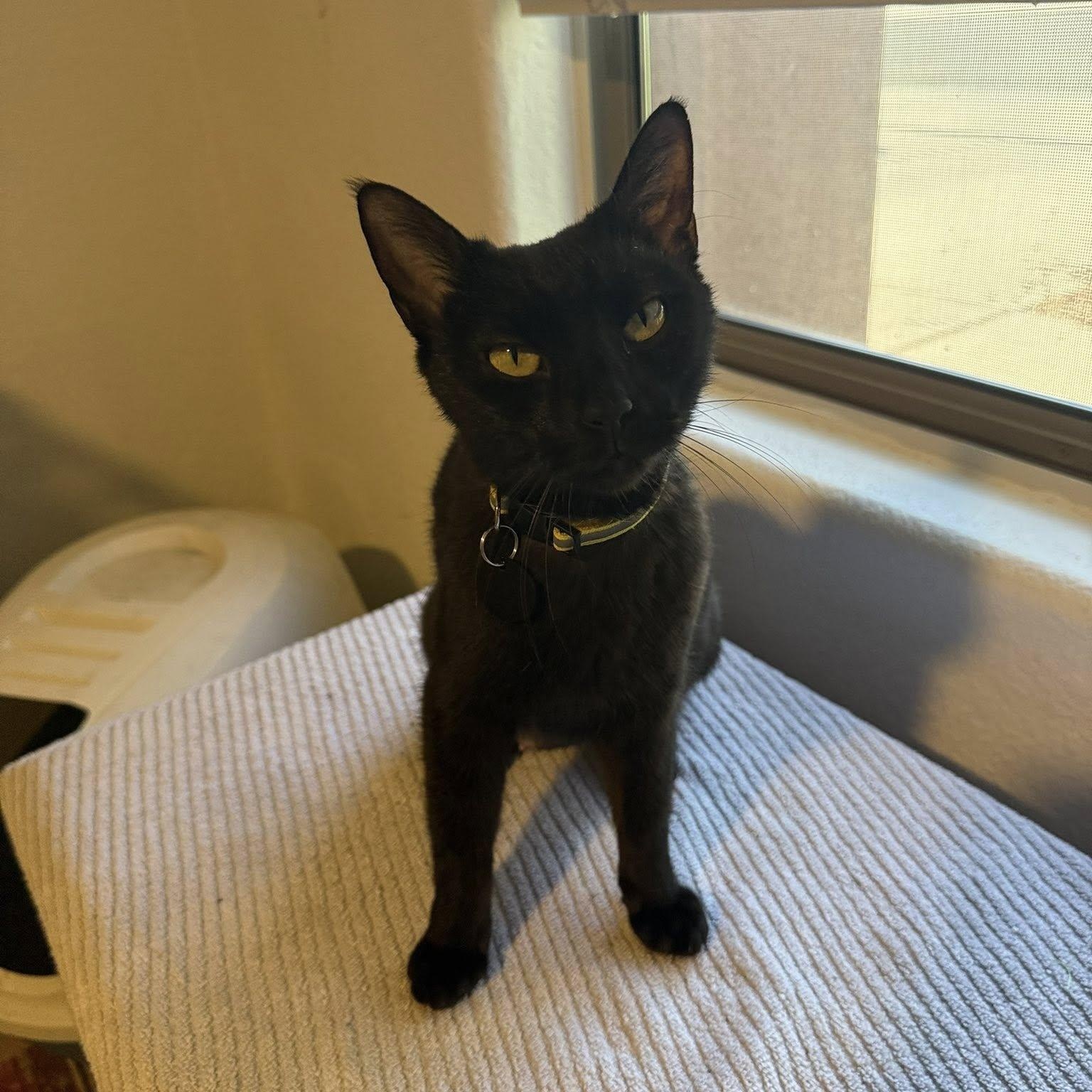 Luna