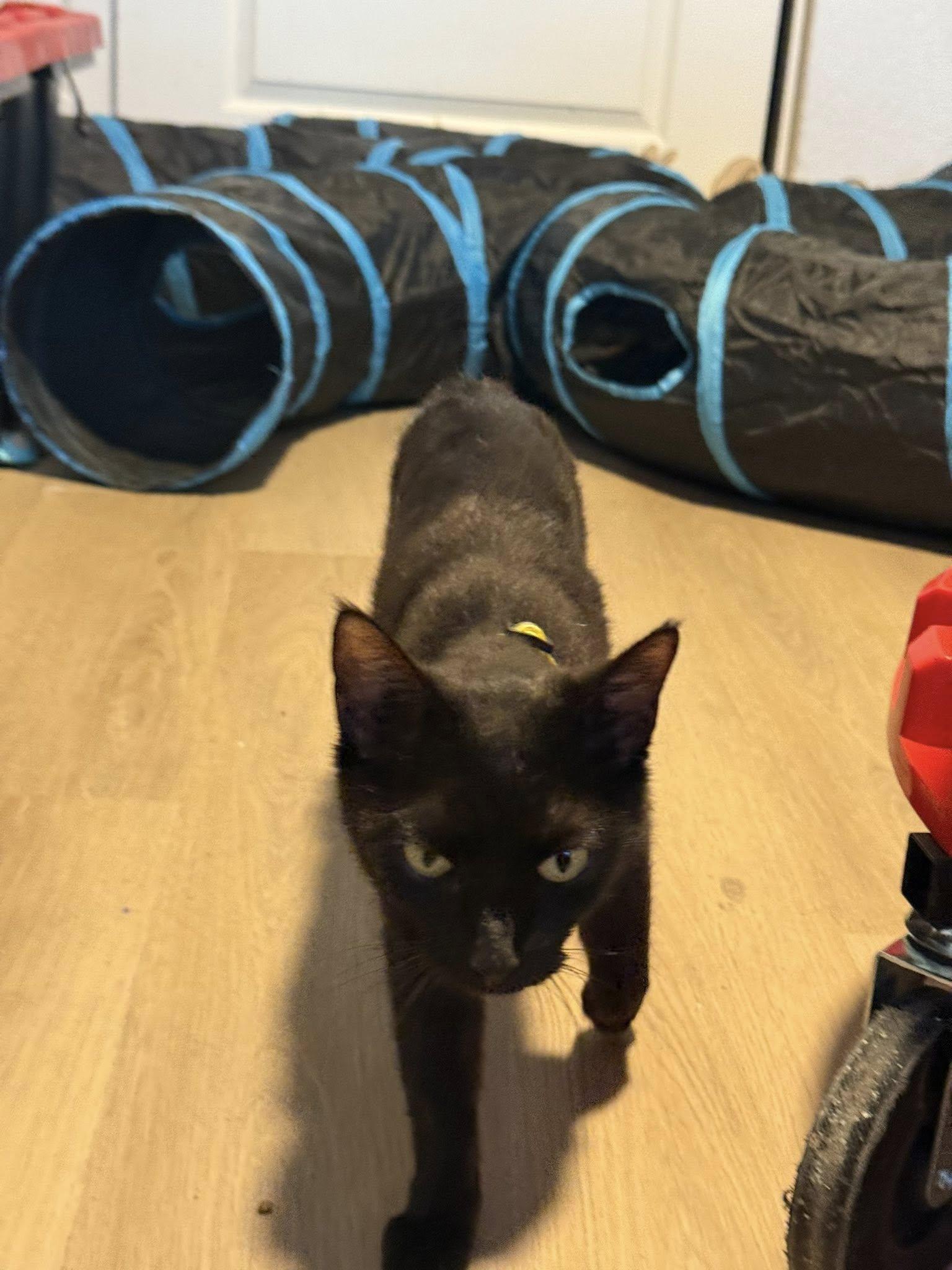Luna