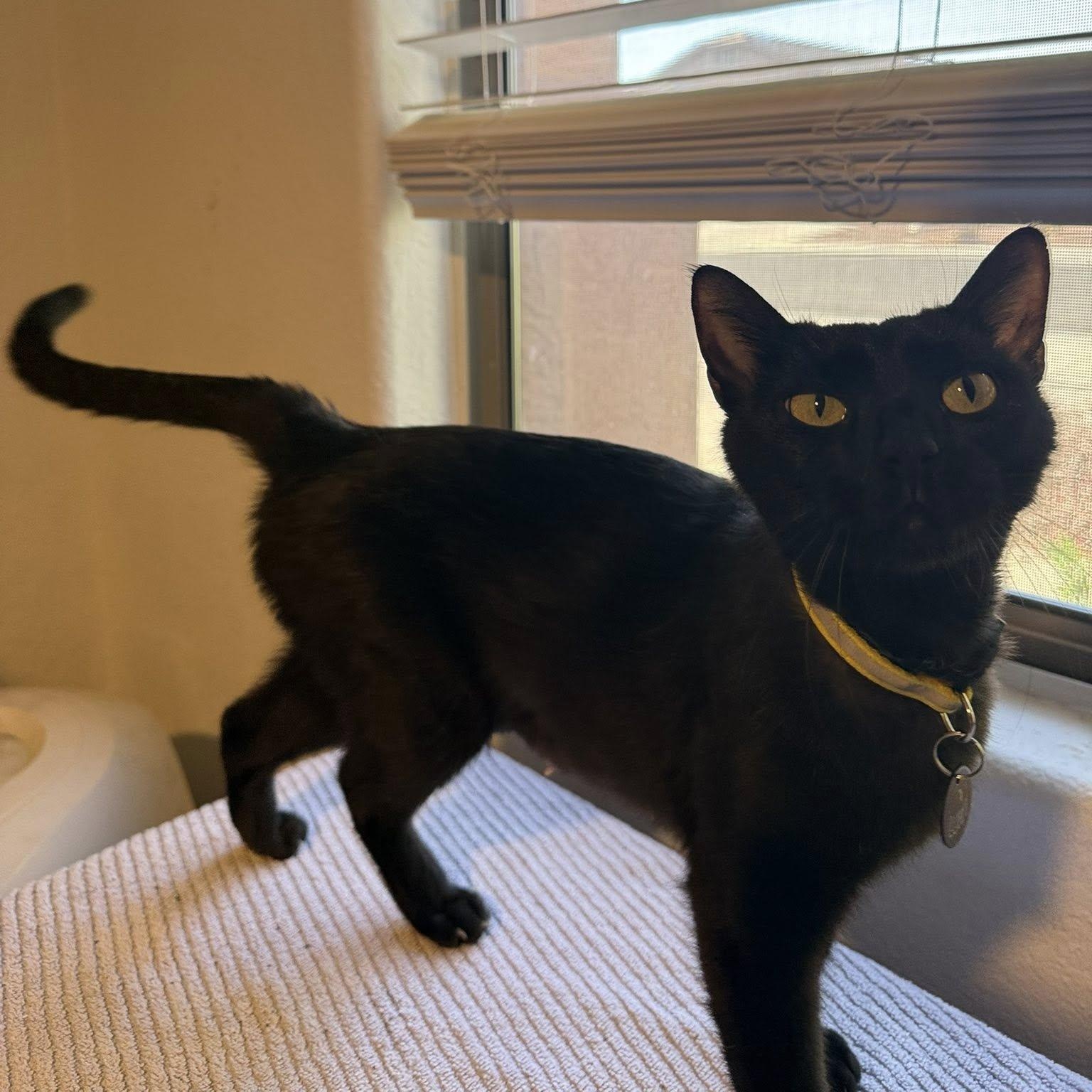 Luna