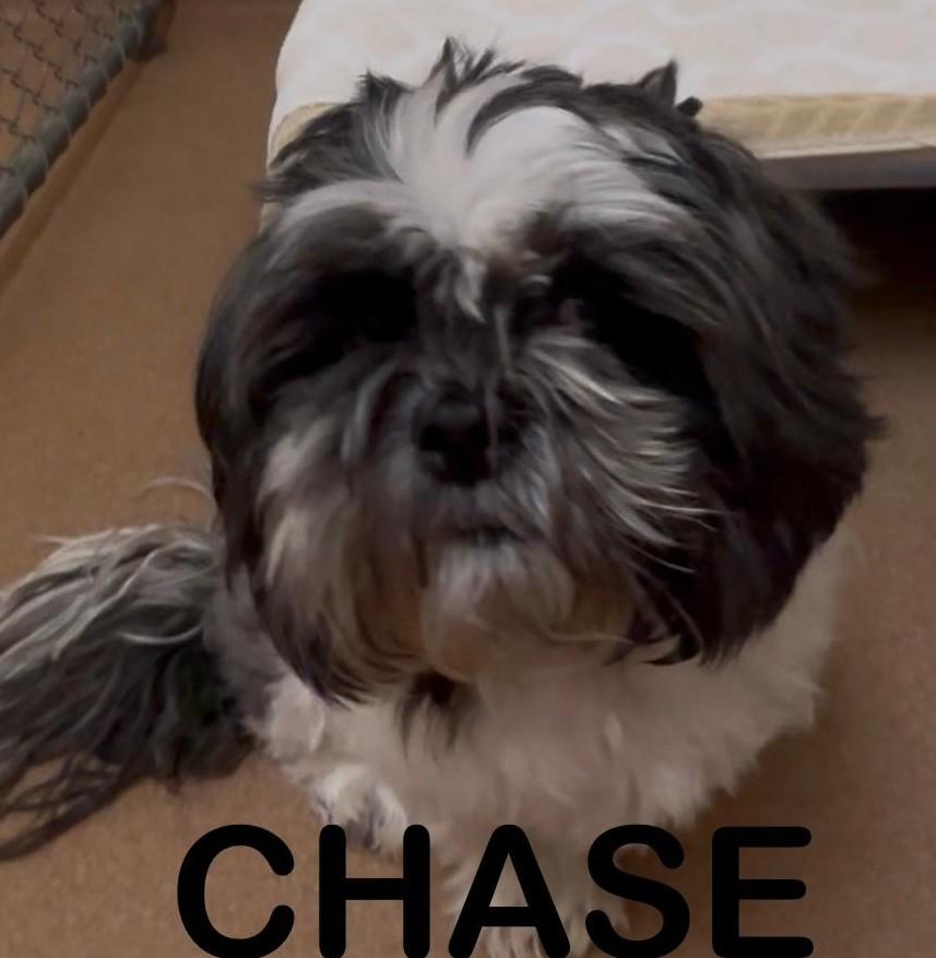 Chase