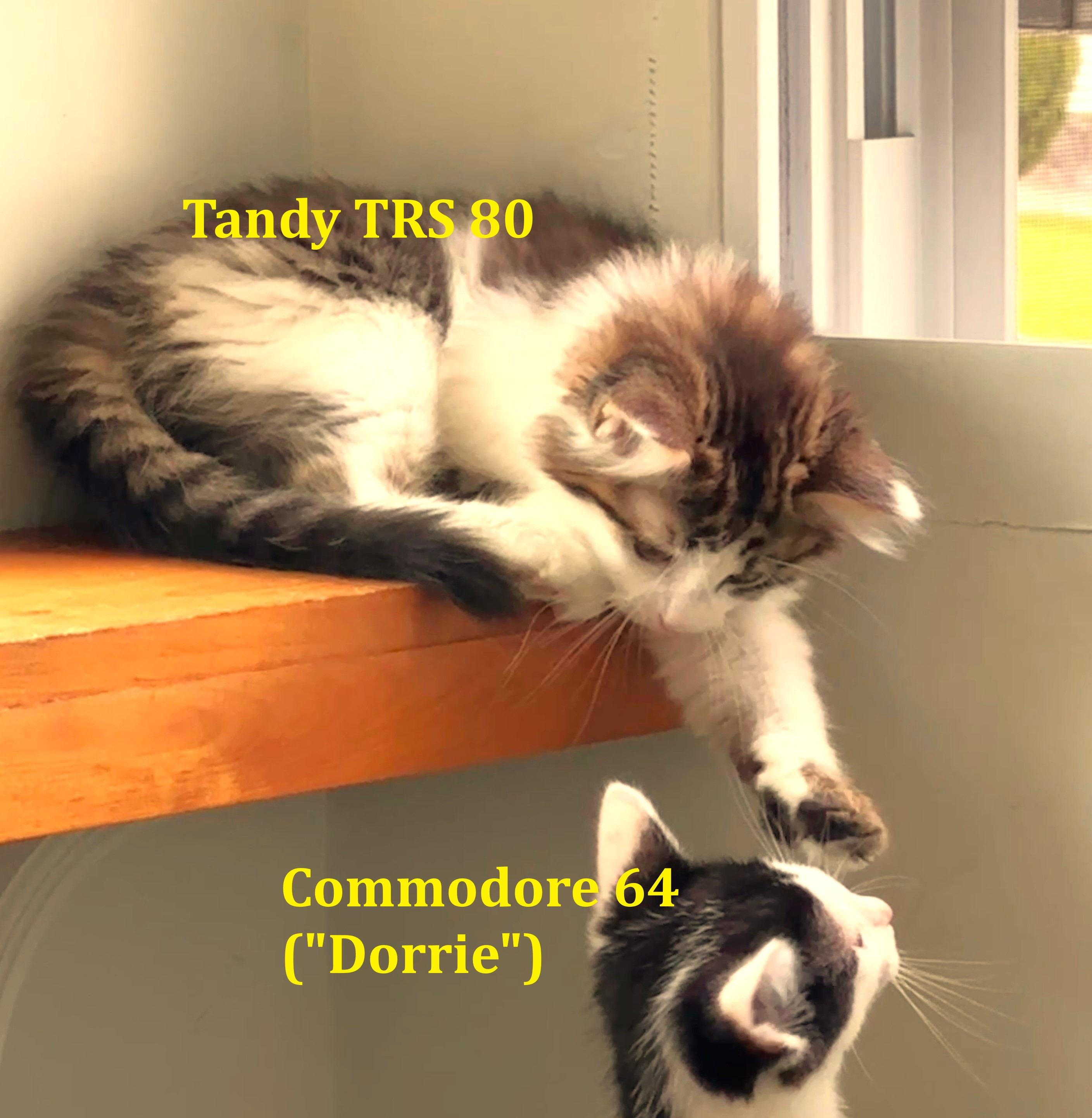 Tandy TRS 80 (Tandy)
