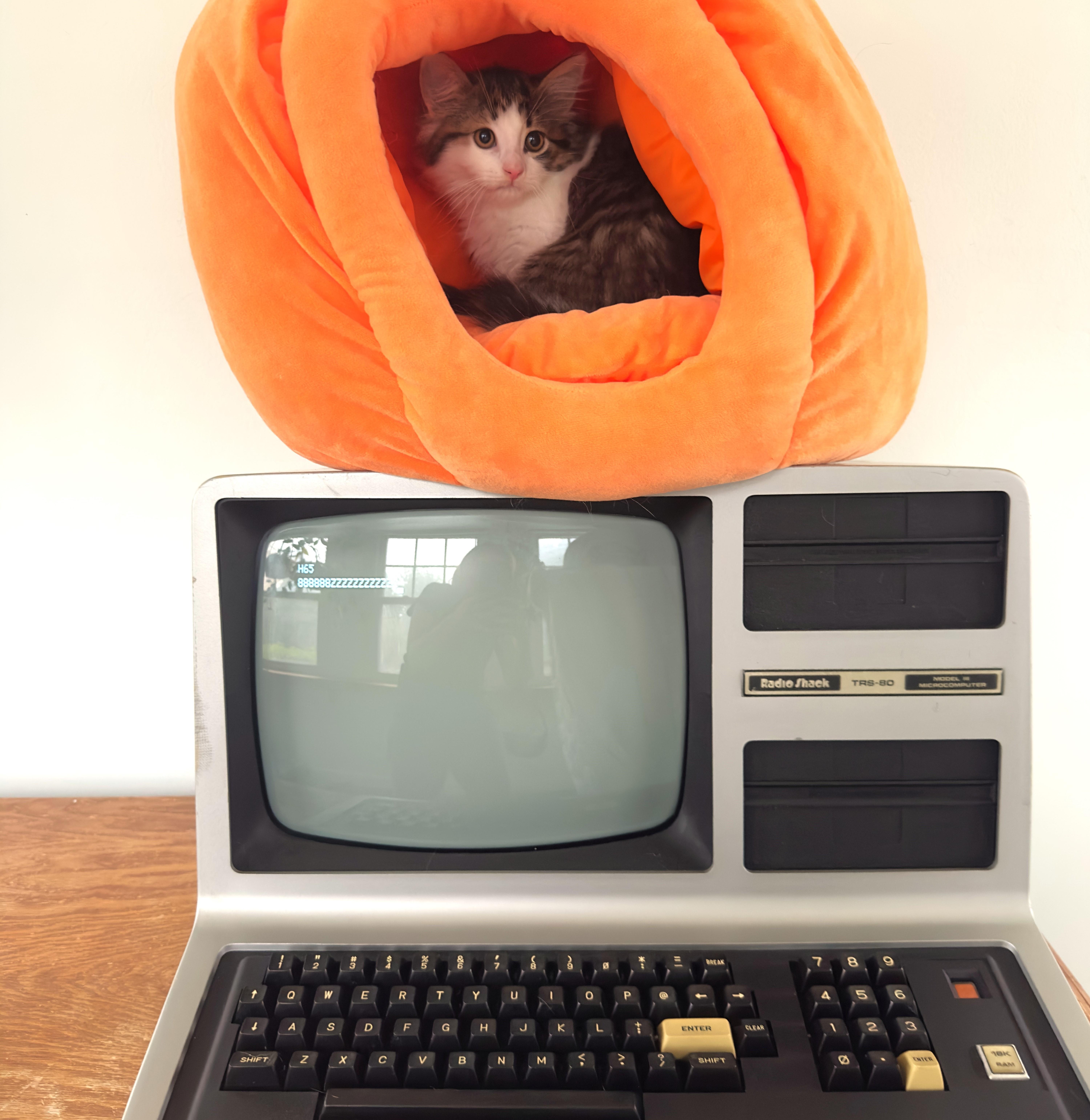 Tandy Trs  (tandy) thumbnail 2