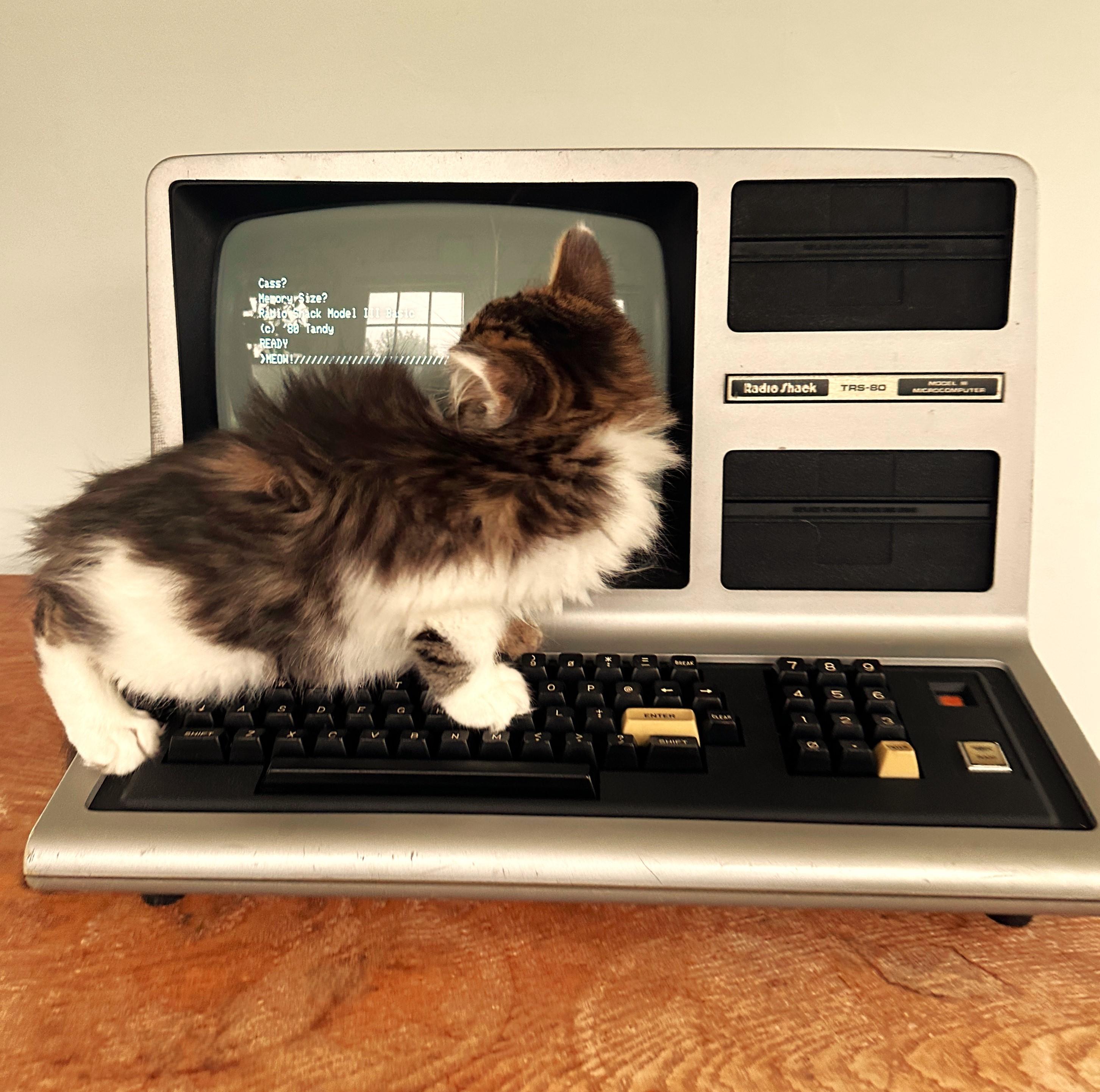 Tandy TRS 80 (Tandy)
