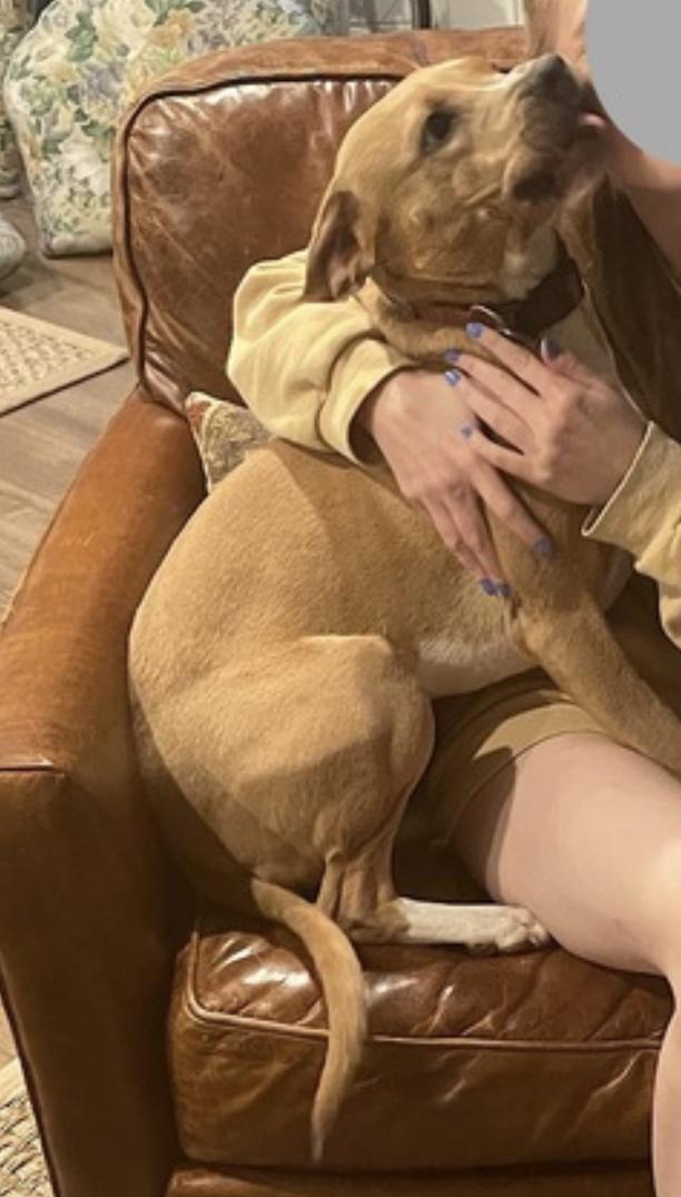 Maisie — thumbnail 2