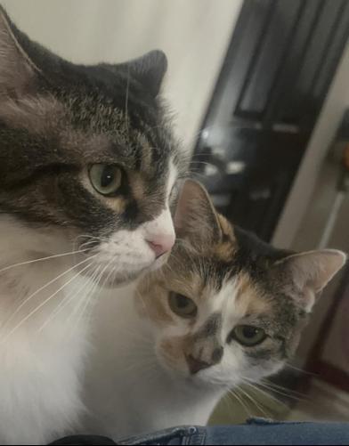 Lilly & Pepper