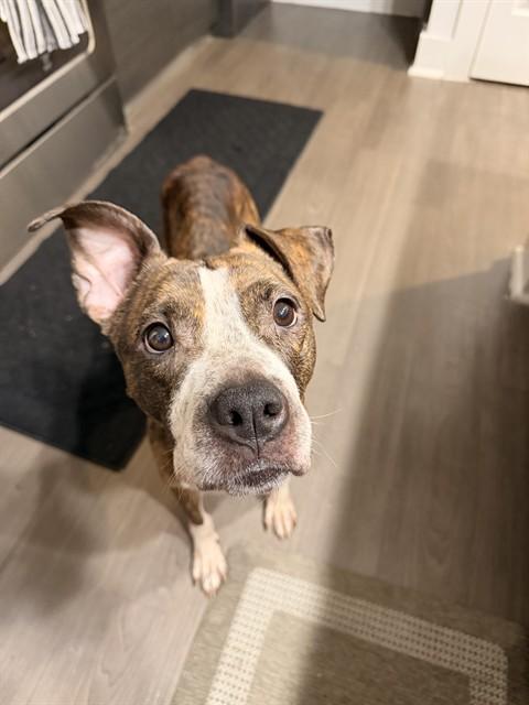 MISS MAAM — thumbnail 2