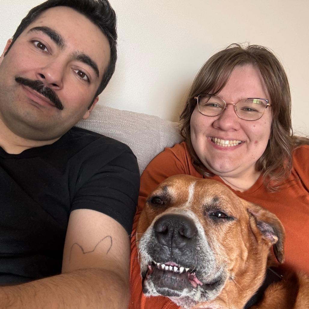 Enlarge Jax, a Adoptable mixed breed in Muscatine, IA image 3/6