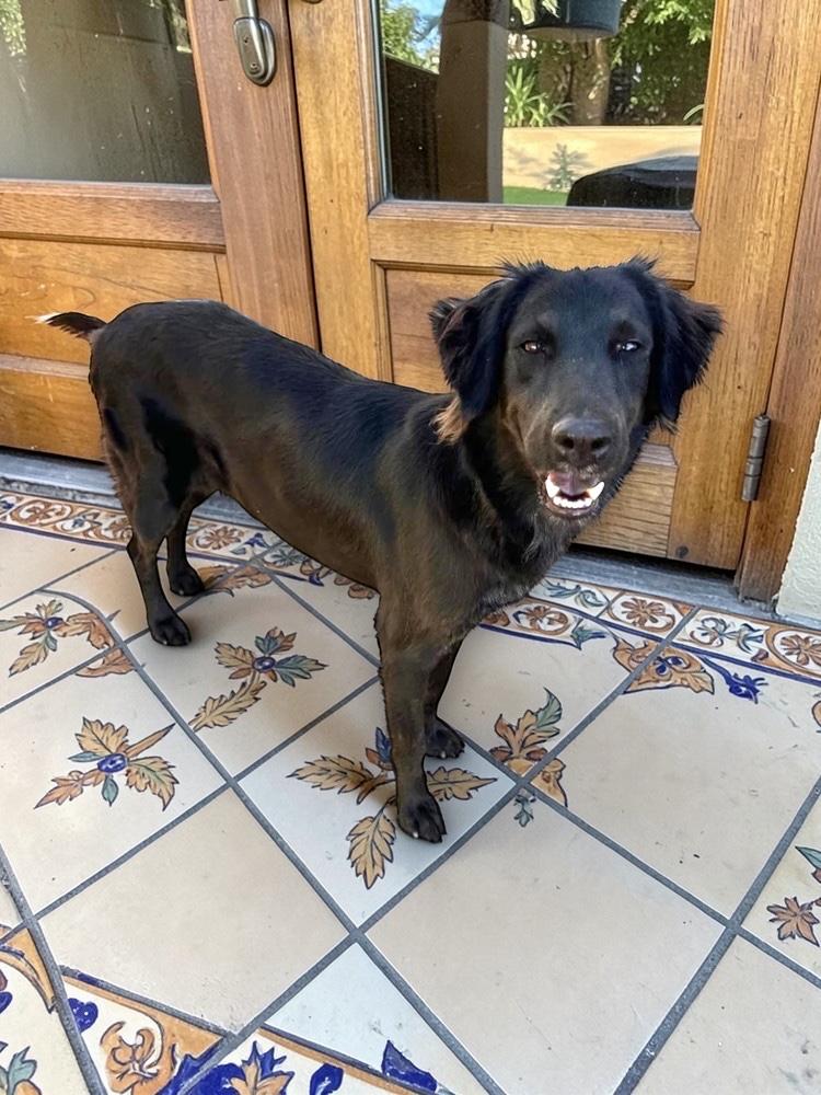 Seali — thumbnail 5