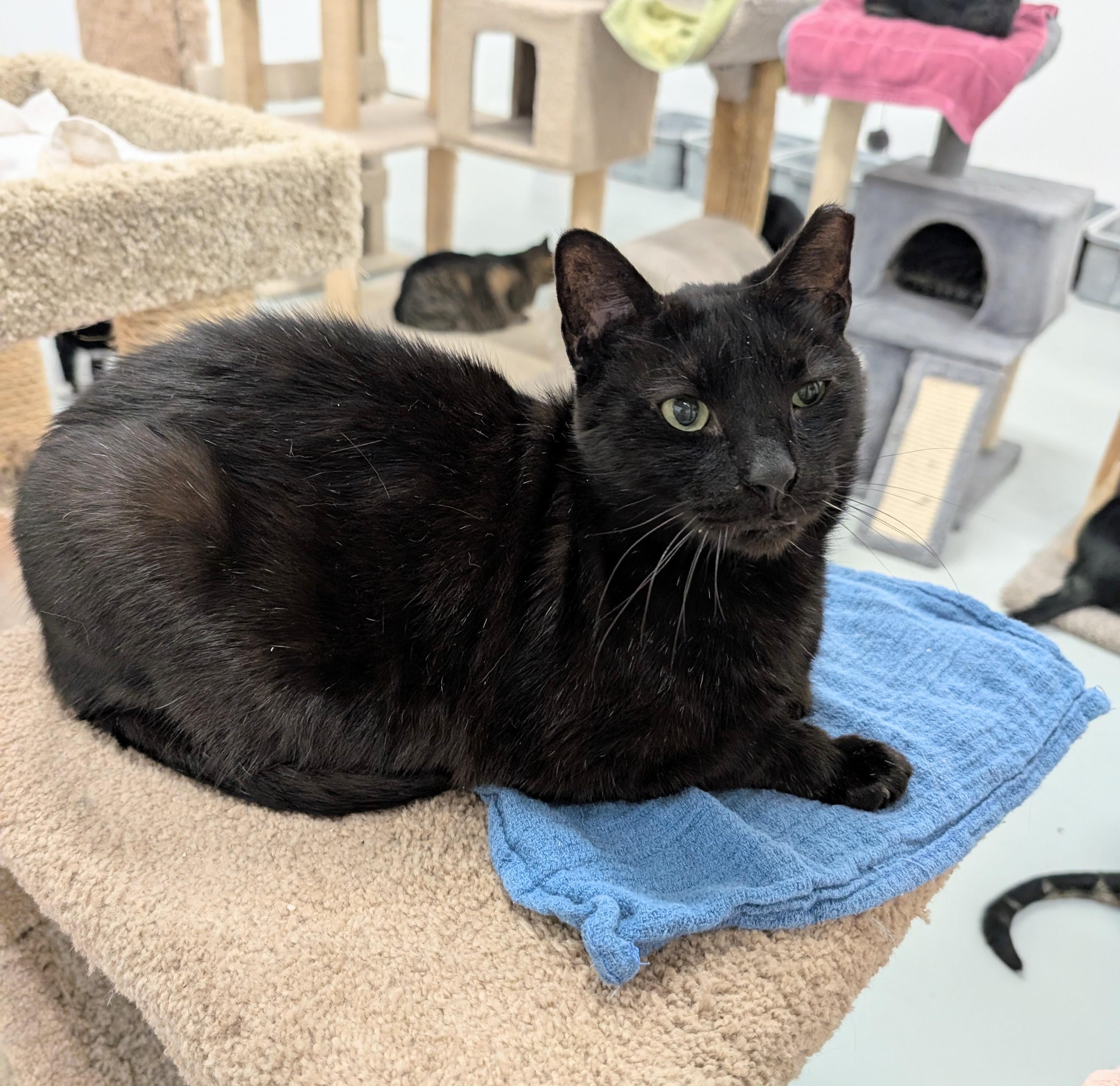 Salem photo 2