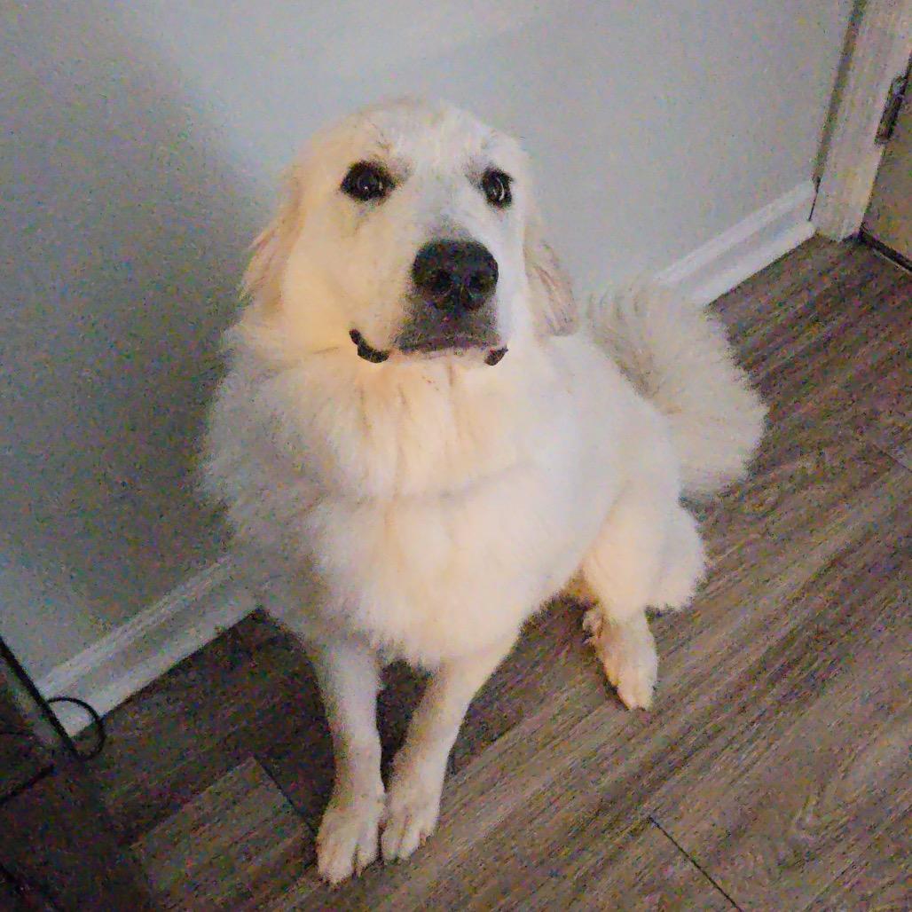 Lucy — thumbnail 2