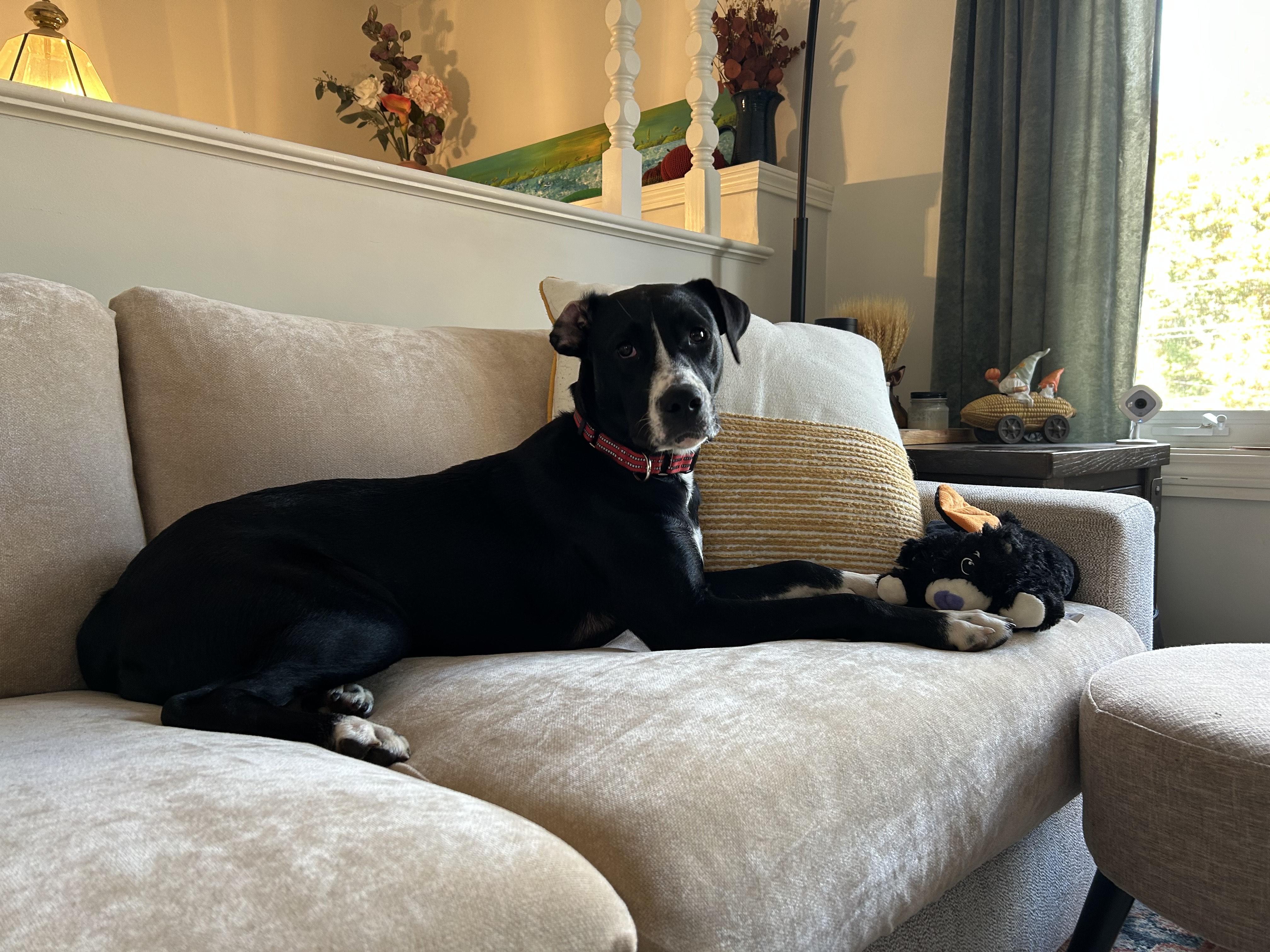 Trudy Tango thumbnail 2