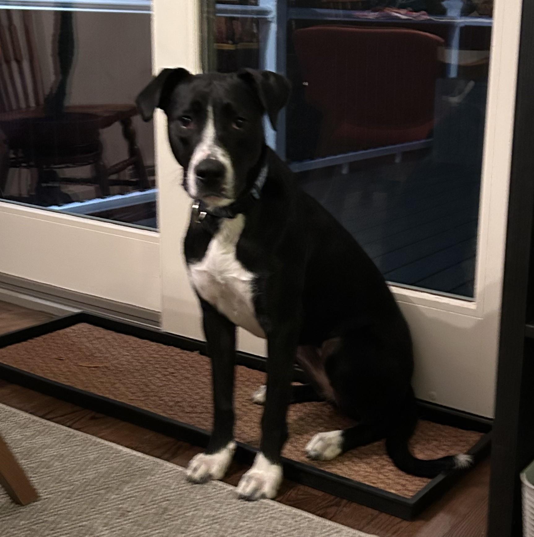 Trudy Tango thumbnail 3