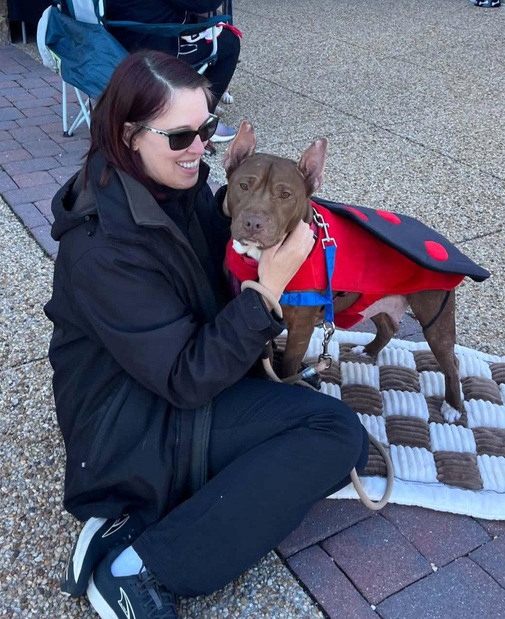 Enlarge Paige, a Adoptable Pit Bull Terrier in Spotsylvania, VA image 3/3