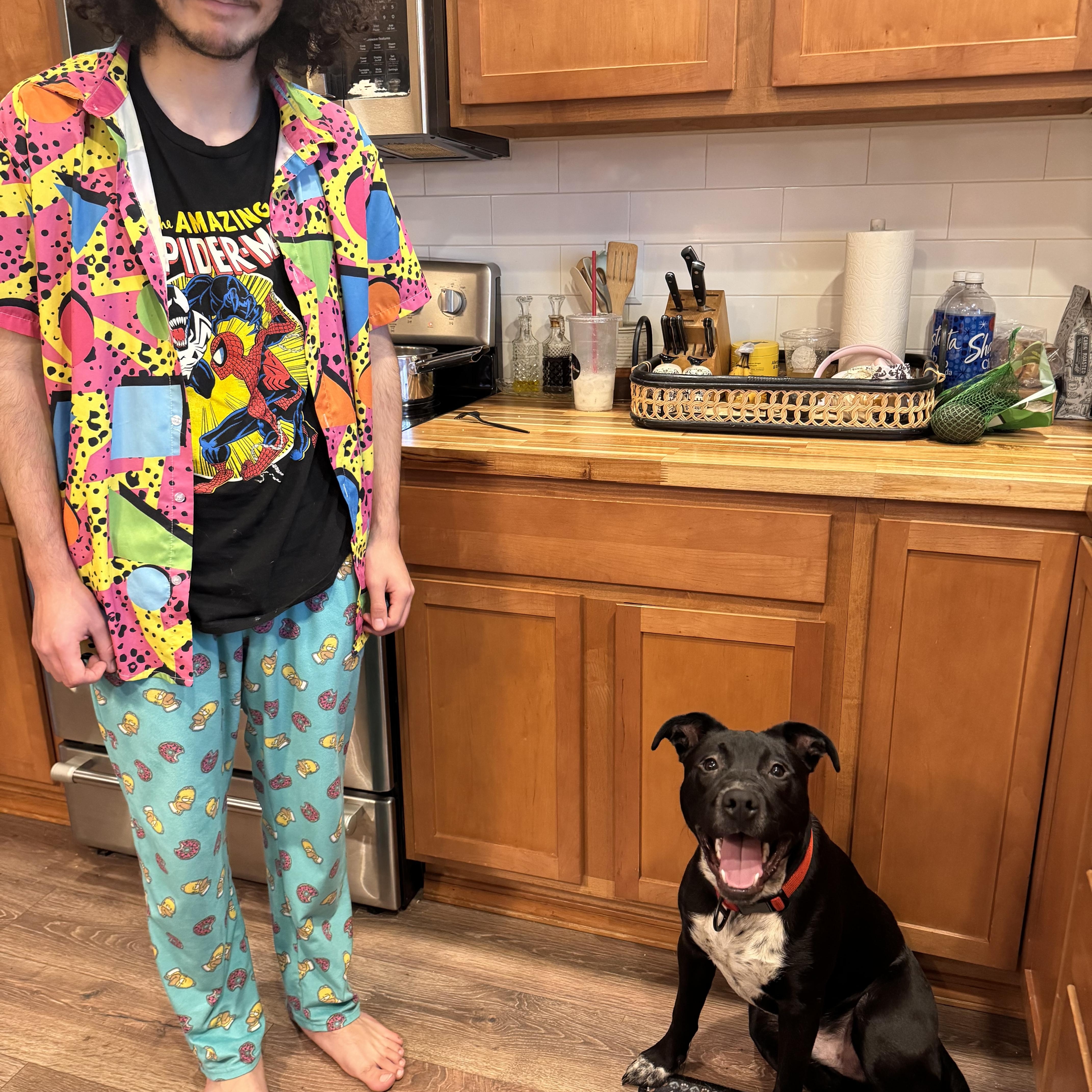 Bean , an adoptable mixed breed in Wenatchee, WA image 2/6