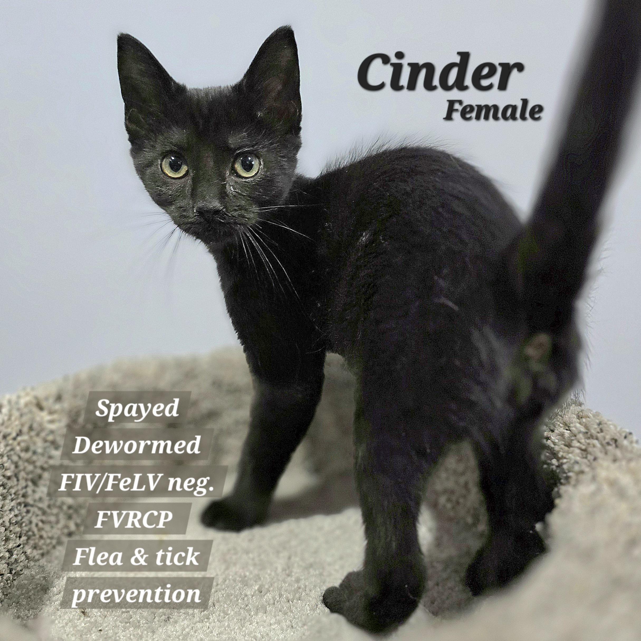 Cinder