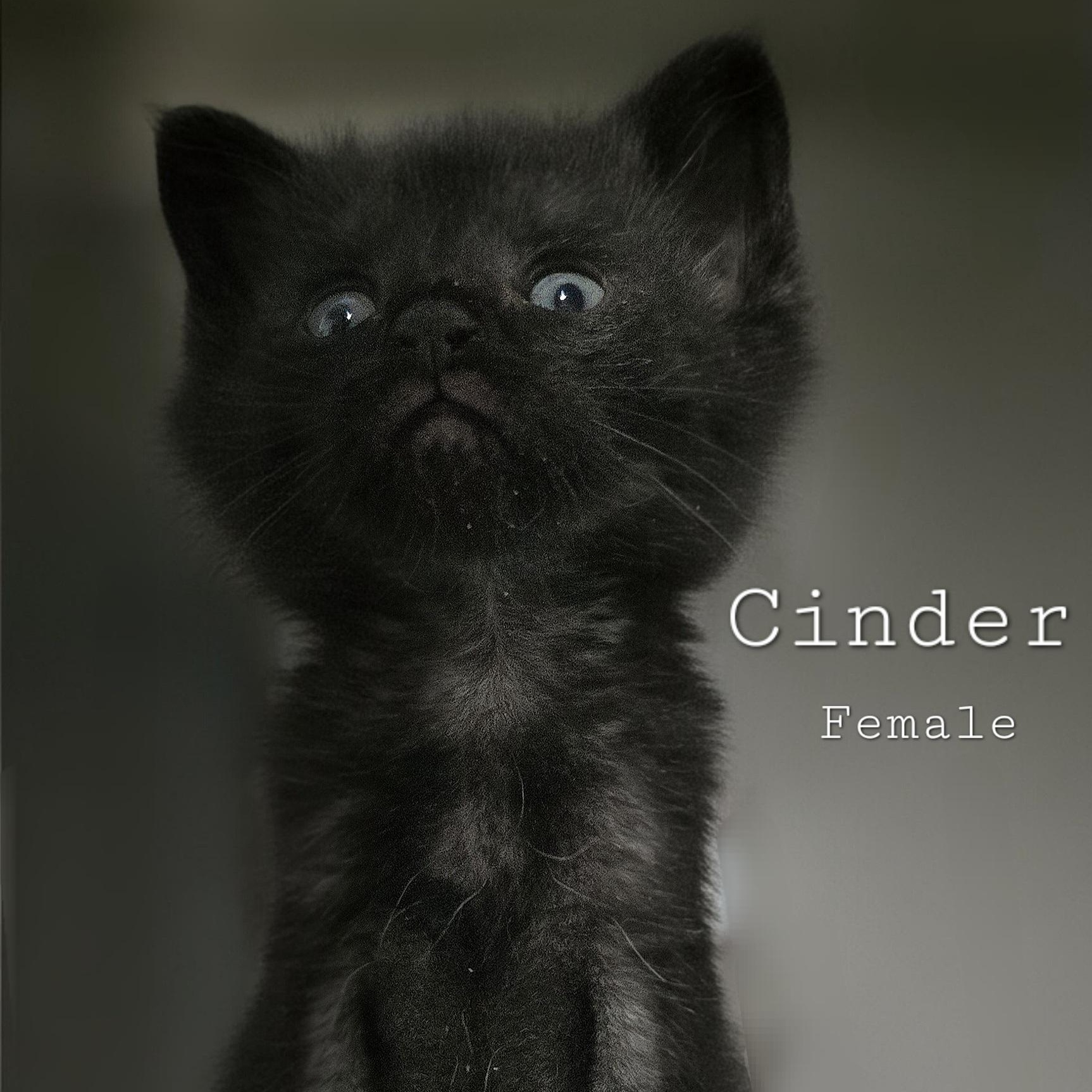 Cinder