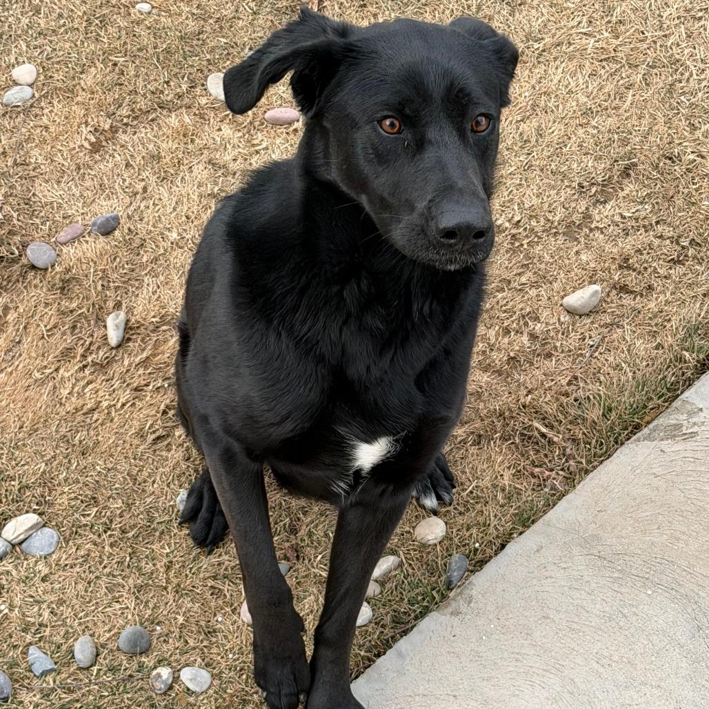 Zynnie — thumbnail 2