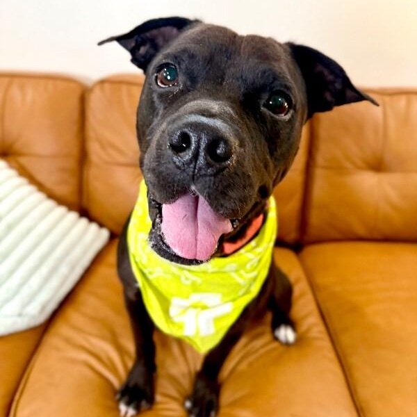 Marty brings the cuddle party