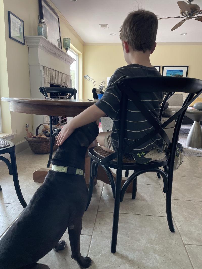 Marty brings the cuddle party — thumbnail 3