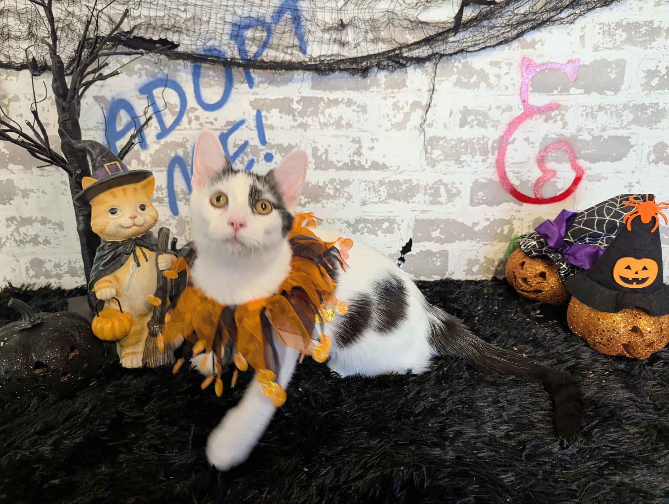 Lydia