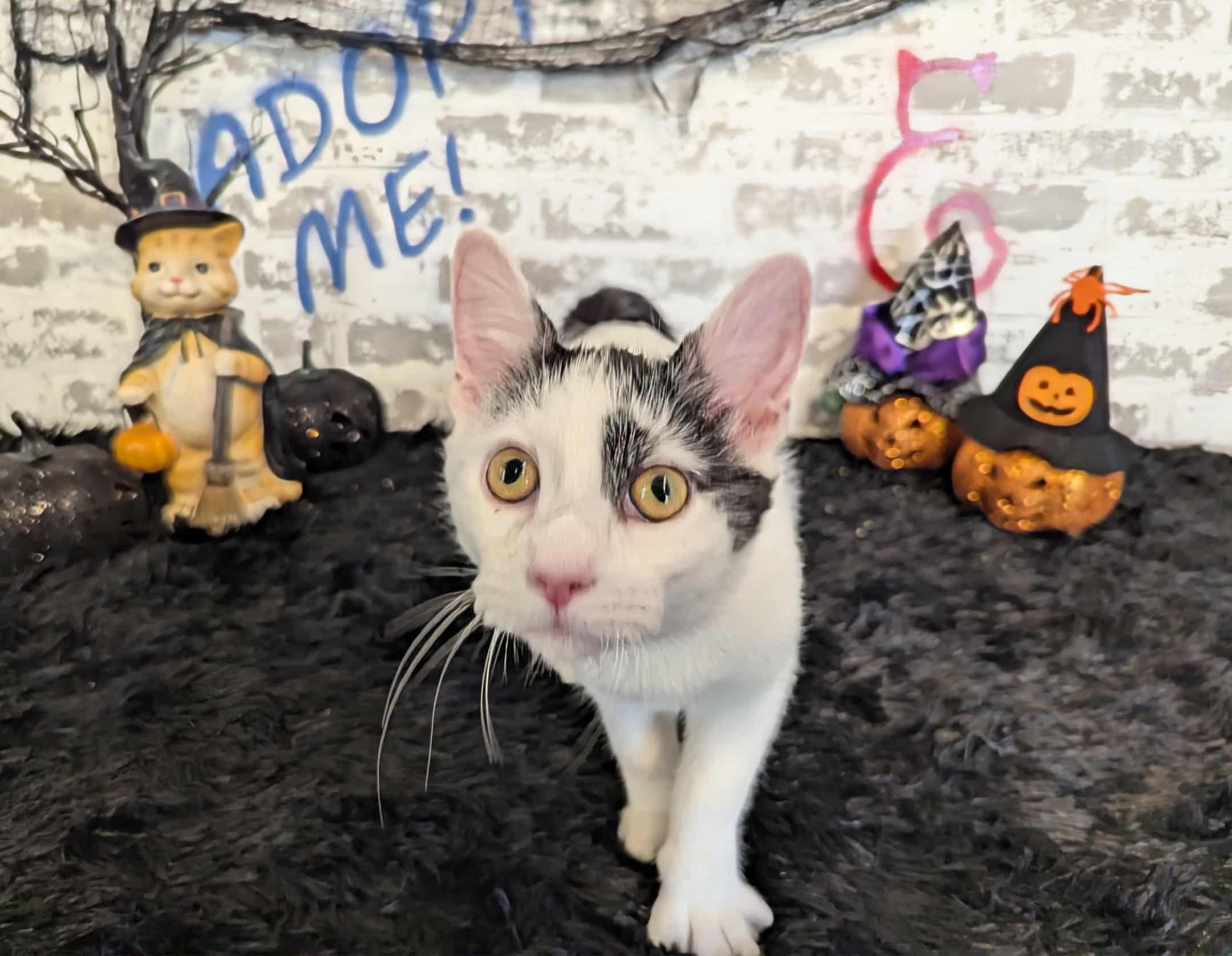 Lydia