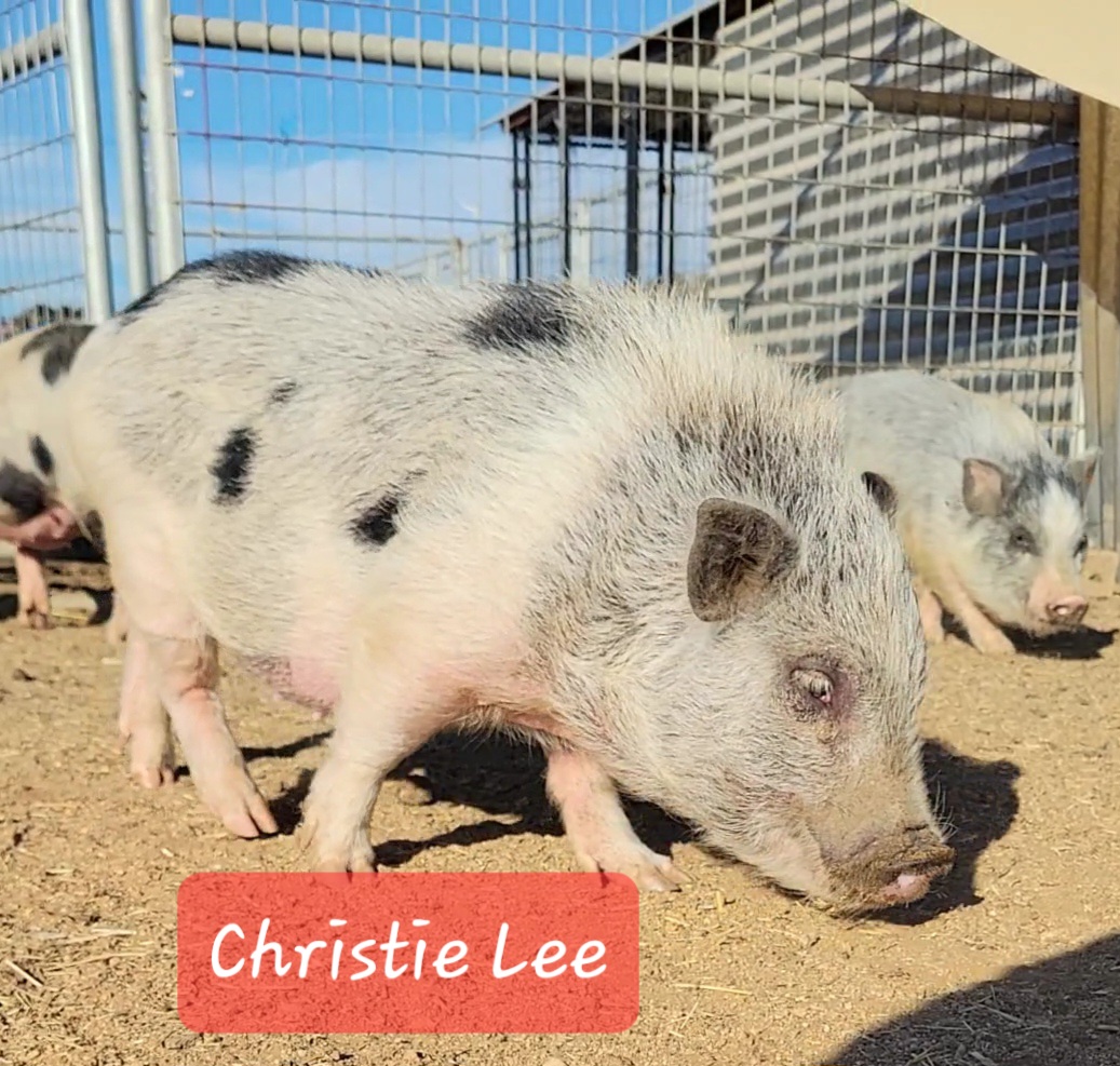 Christie Lee, Young Female unknown