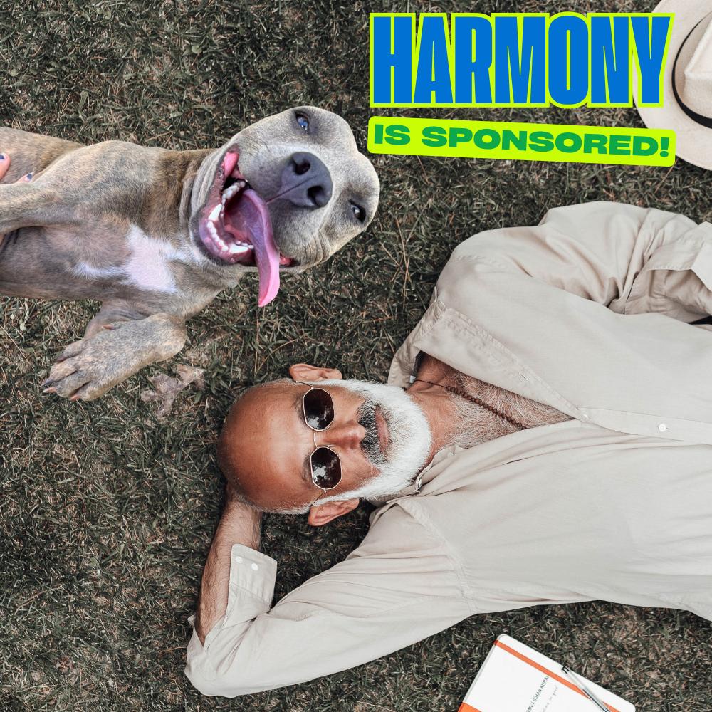 Enlarge Harmony Blue, a Adoptable Pit Bull Terrier in Clarksville, AR image 4/6
