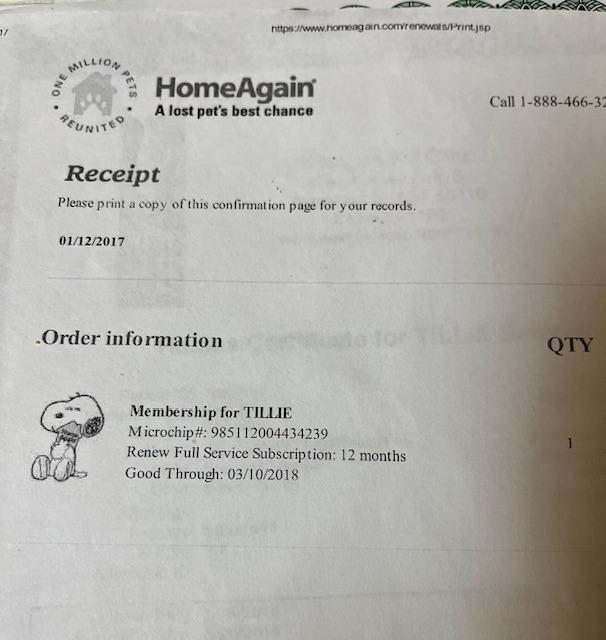 Enlarge Miss Tilly, a Adoptable mixed breed in Minneapolis, MN image 5/6