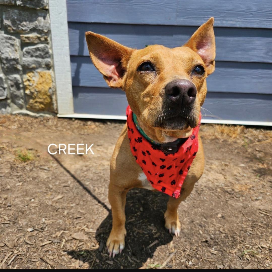 Creek & Cane