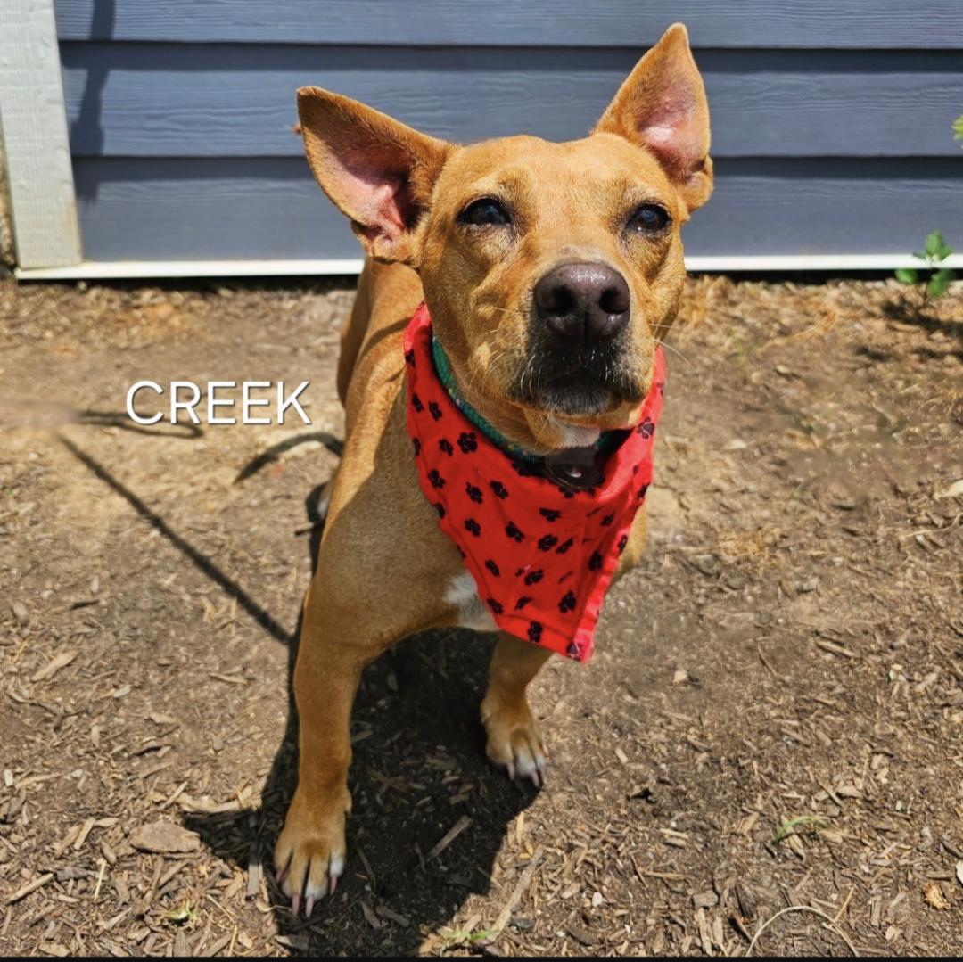 Creek & Cane photo 3