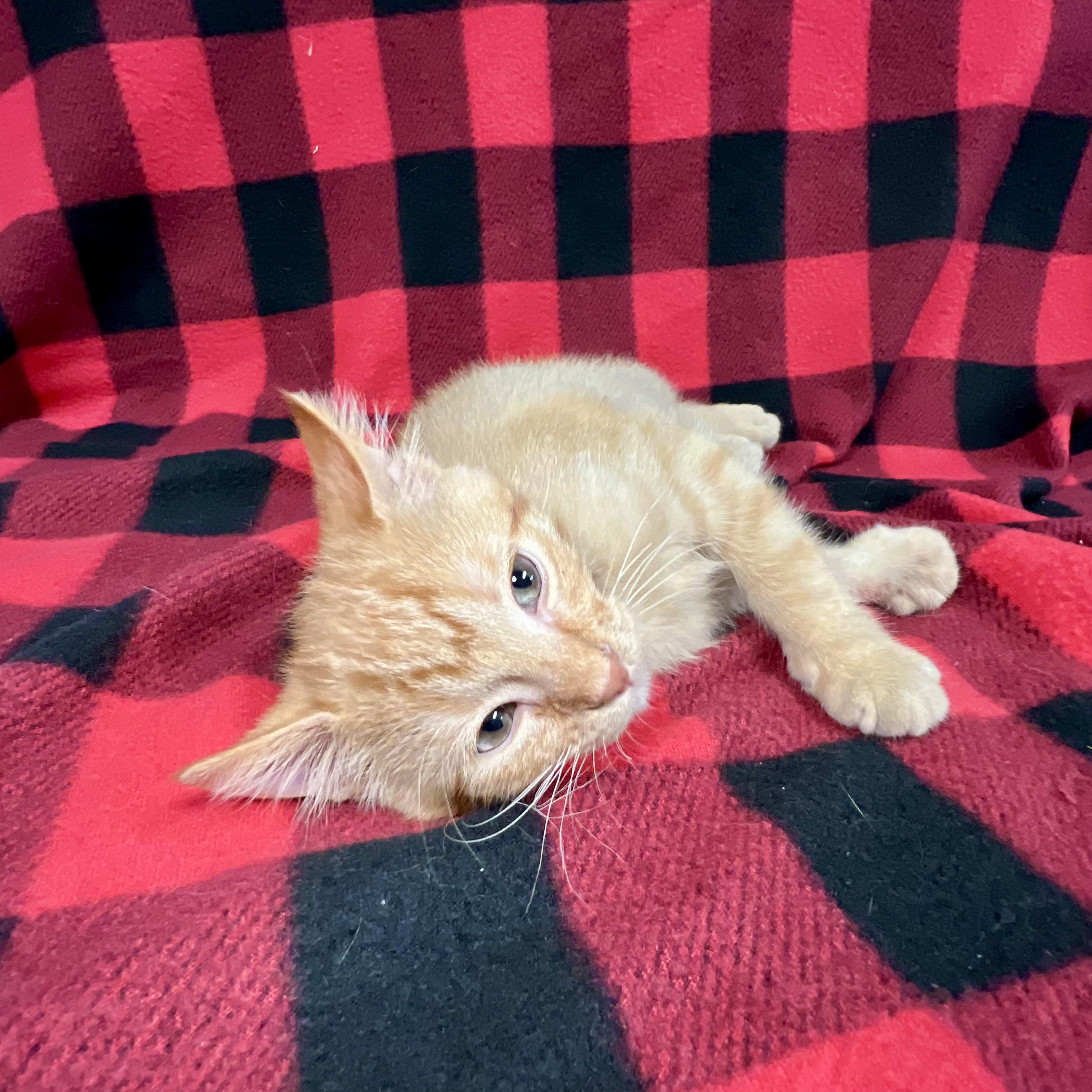 Sam