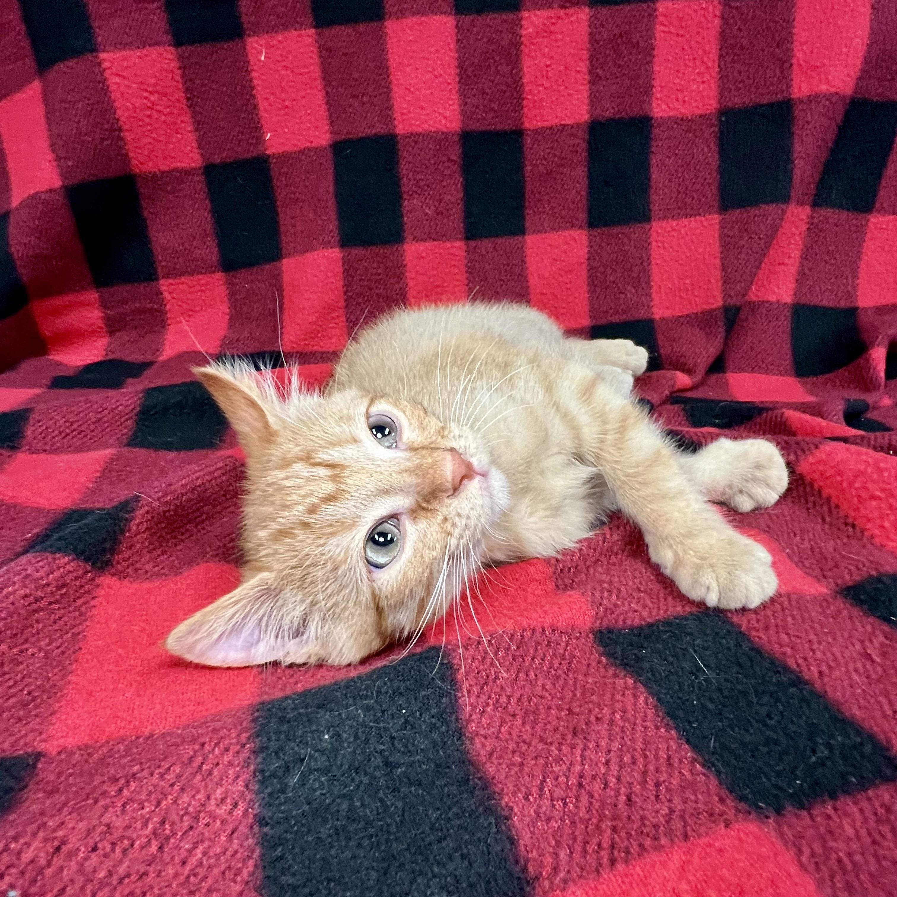 Sam