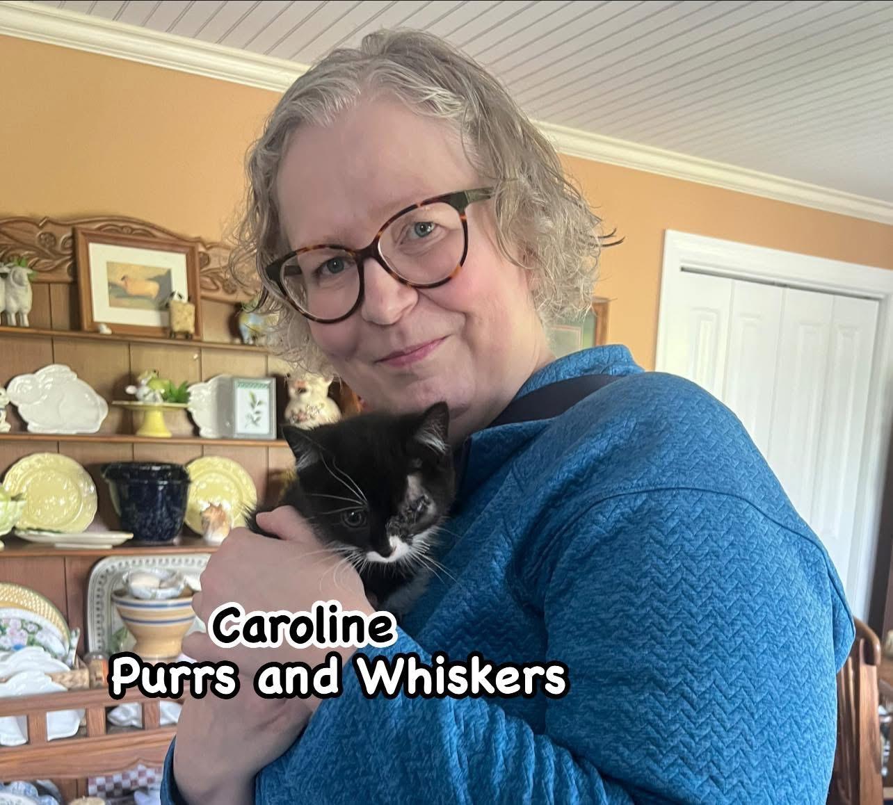 Caroline, adopted, Kitten Female Domestic Short Hair.