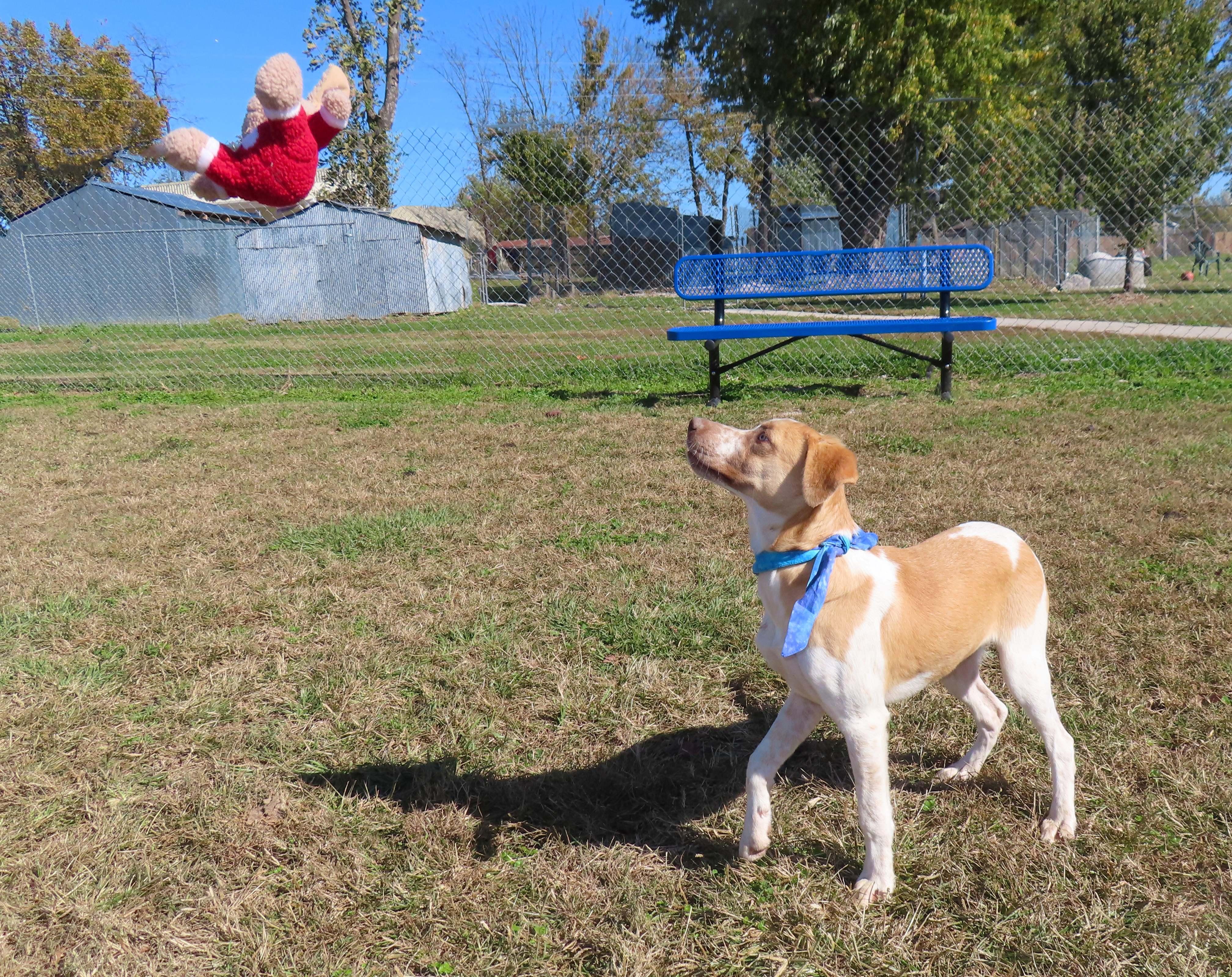 Brit  Cc thumbnail 5