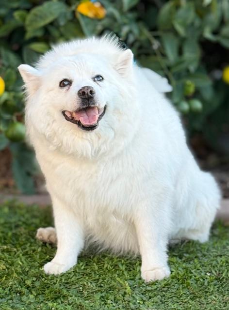 Sophie — thumbnail 2