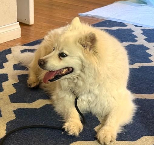 Sophie — thumbnail 3