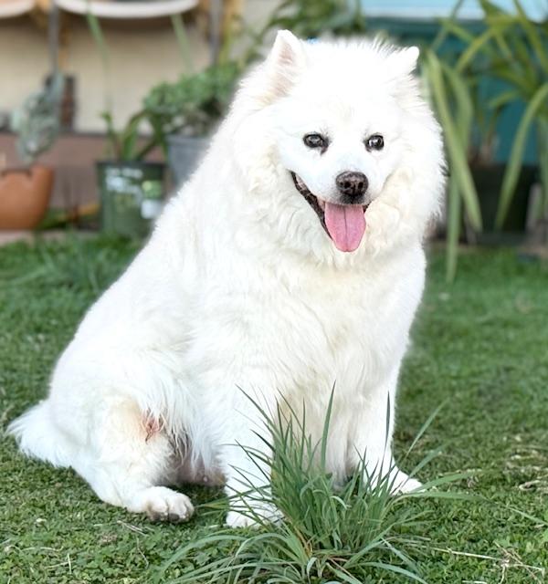 Sophie — thumbnail 5