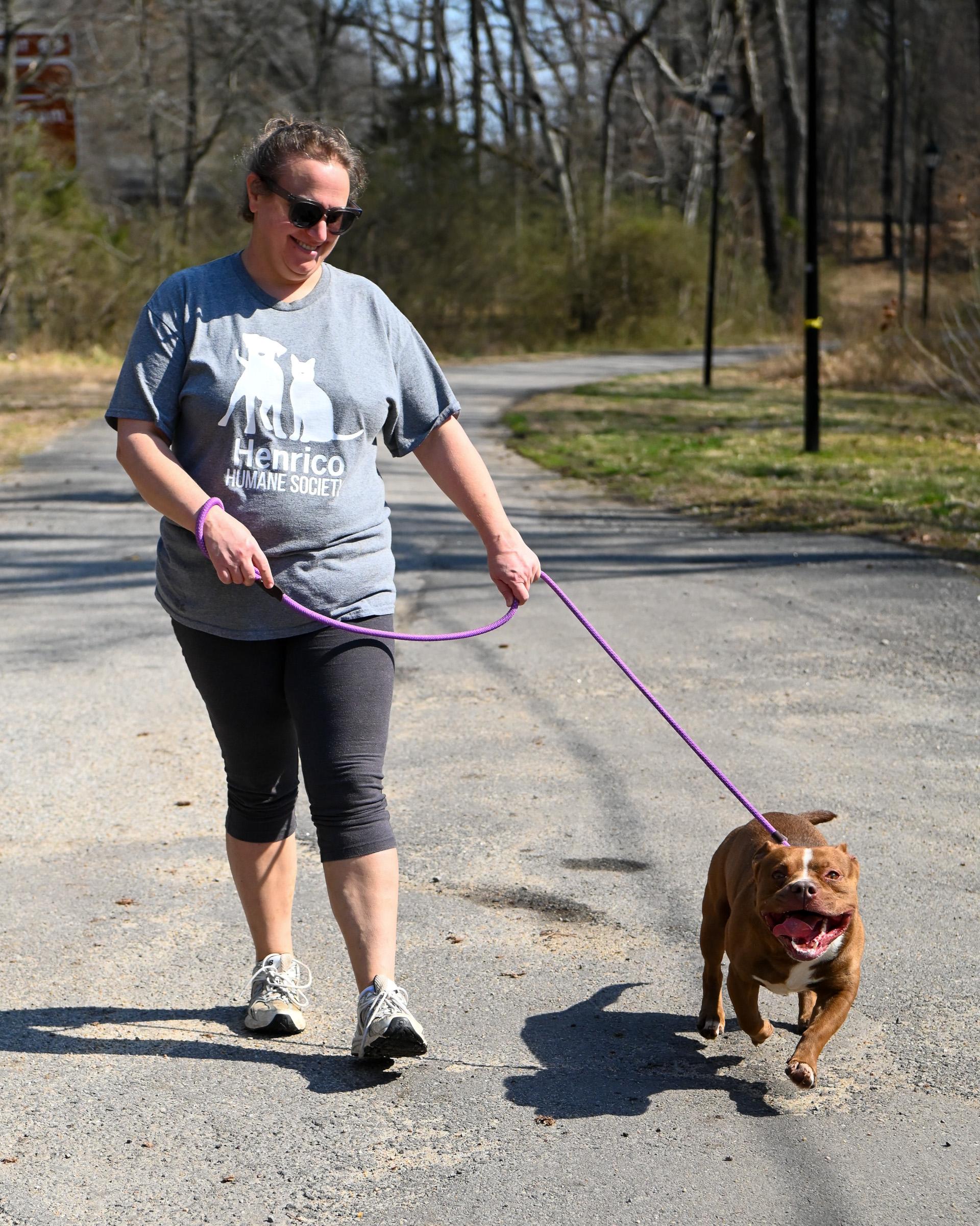 Enlarge Short Stack, an adopted mixed breed in Petersburg, VA image 6/6