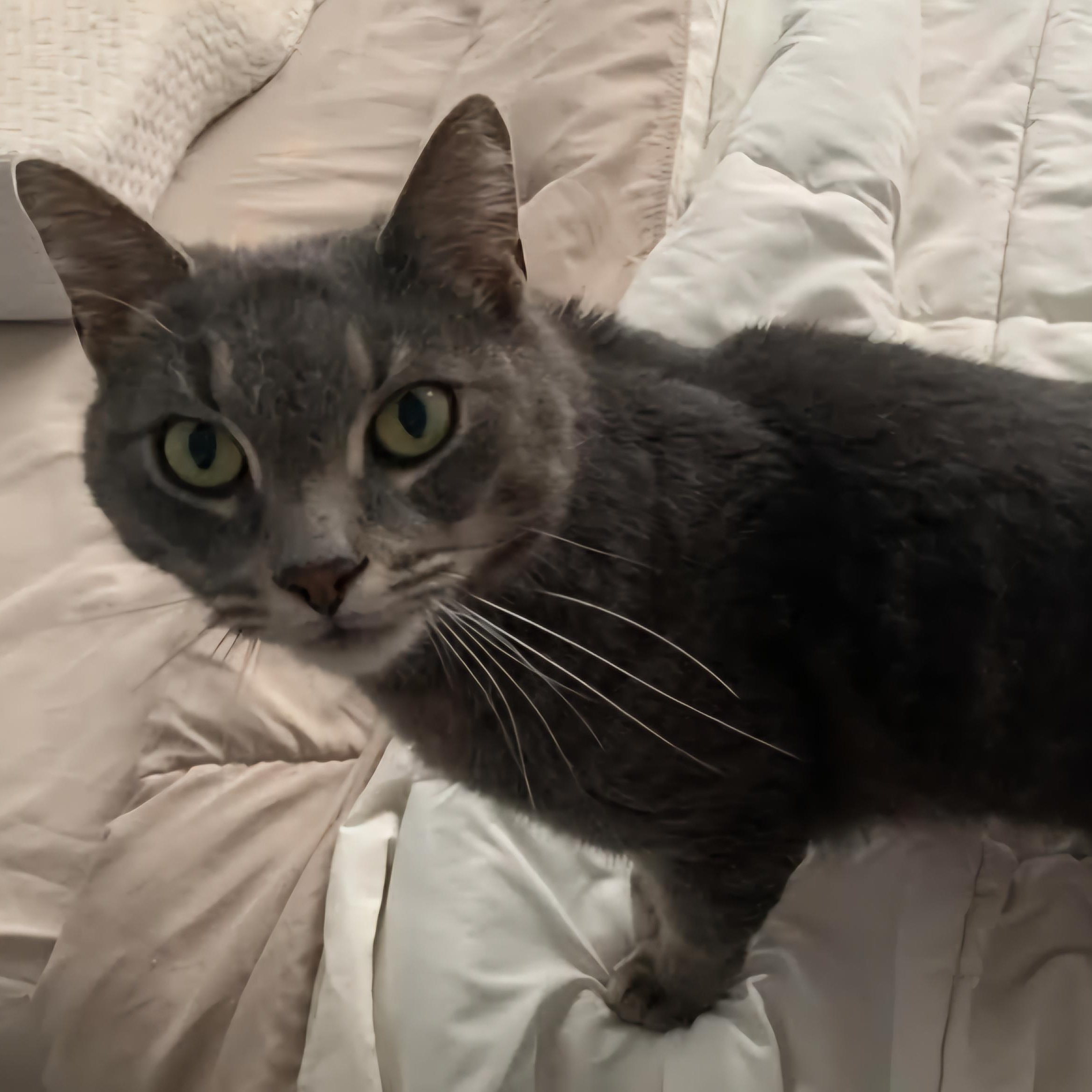 Leroy
