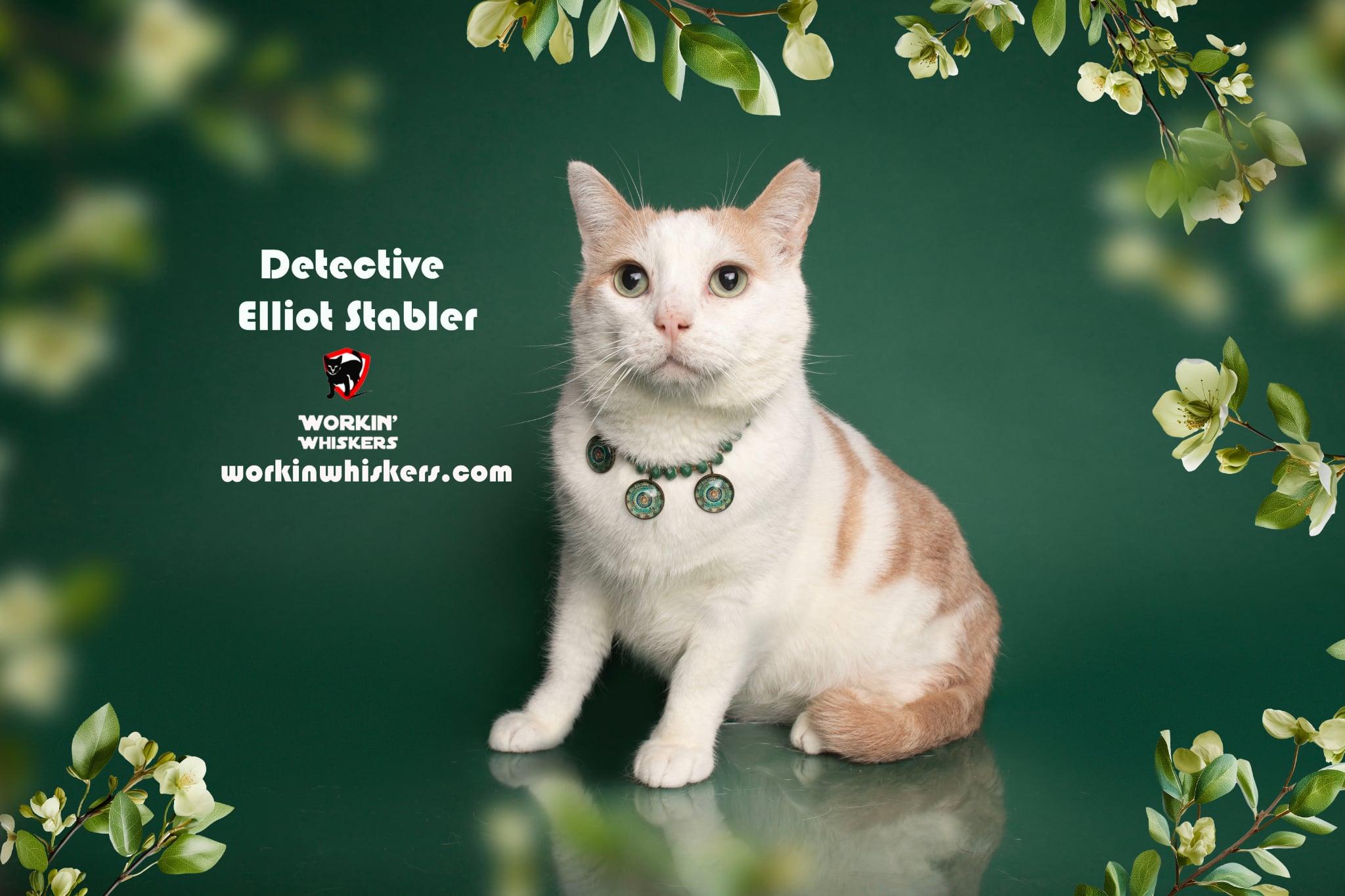 Enlarge DETECTIVE ELLIOT STABLER, a Adoptable mixed breed in HEMET, CA image 1/3