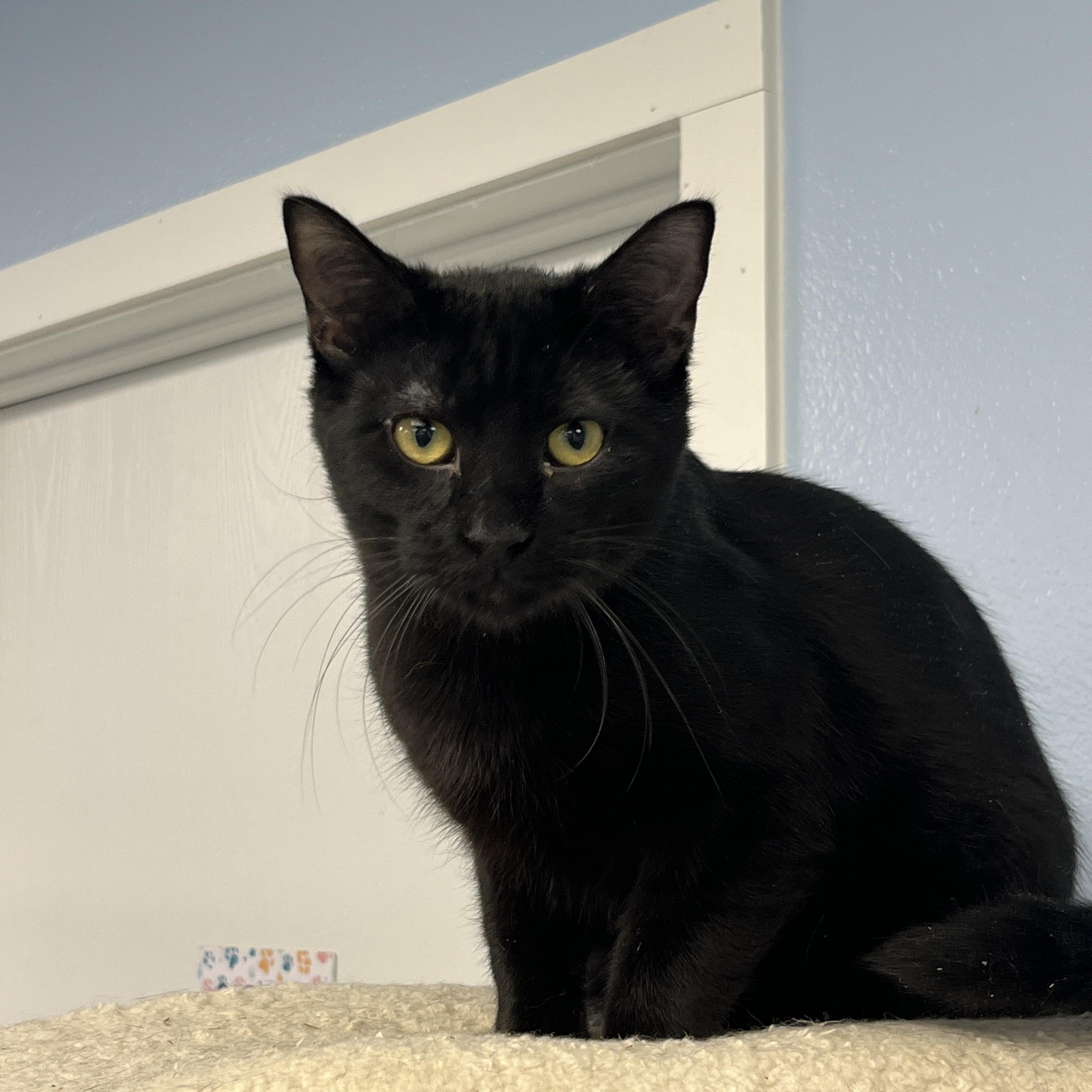 Vader photo 2