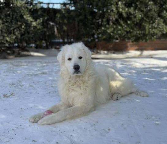 Fern — thumbnail 4