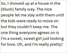 Enlarge Winzling, an adopted Domestic Short Hair in Libby, MT image 1/6