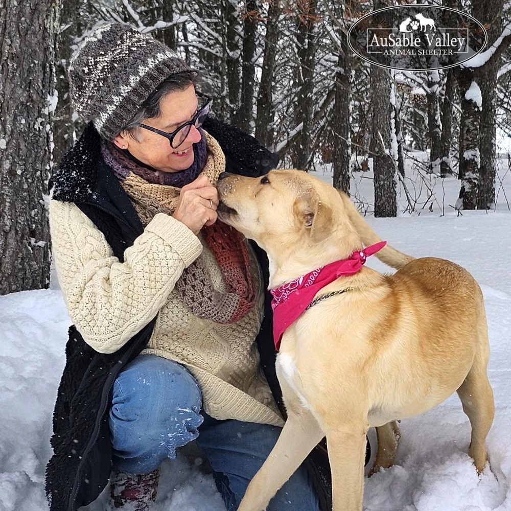 Enlarge Bianca, an adoptable Mixed Breed in Grayling, MI image 6/6