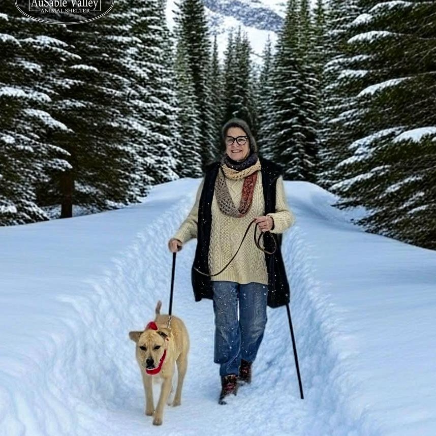 Enlarge Bianca, an adoptable Mixed Breed in Grayling, MI image 3/6