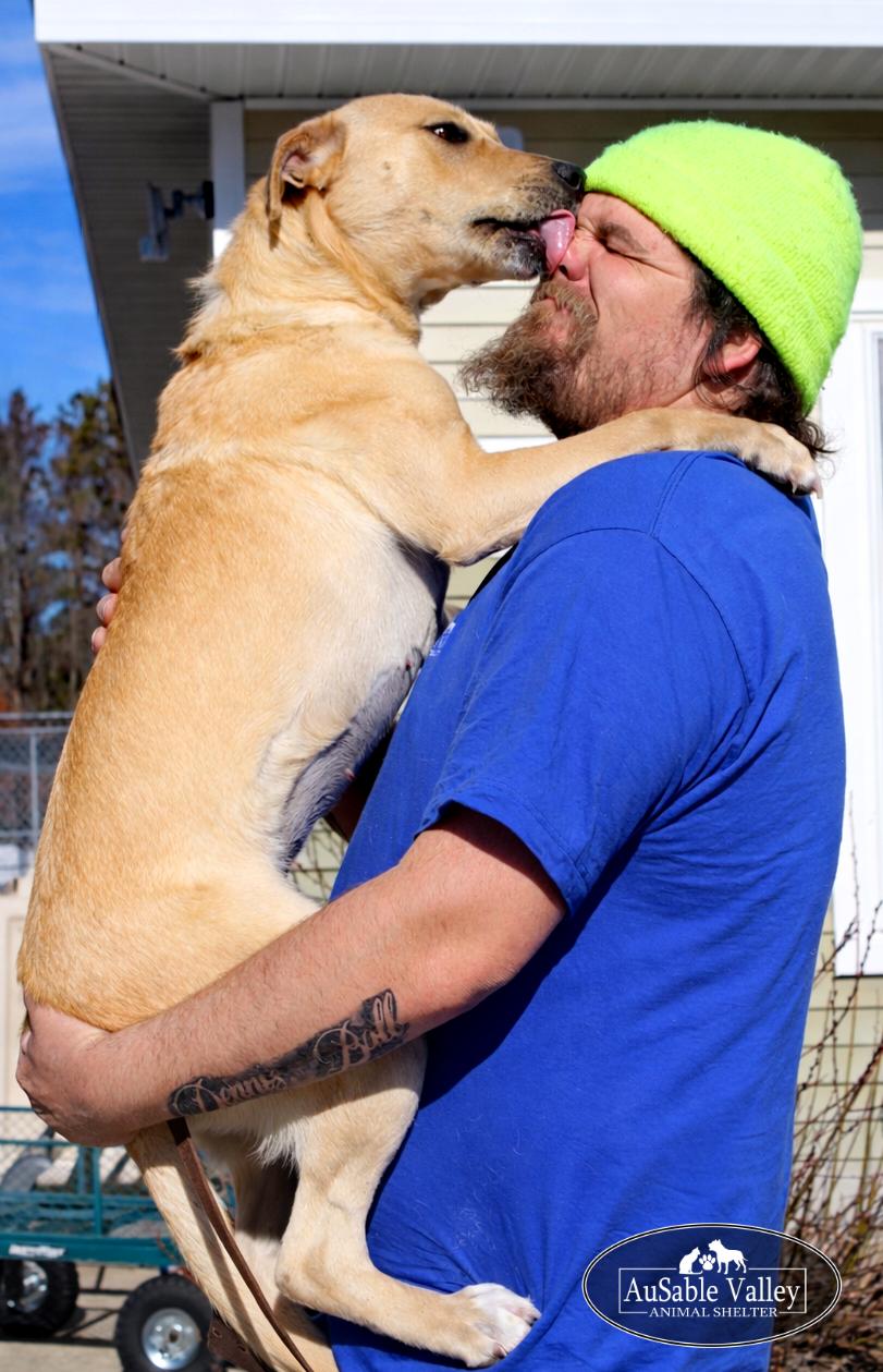 Bianca, an adoptable Mixed Breed in Grayling, MI image 6/6