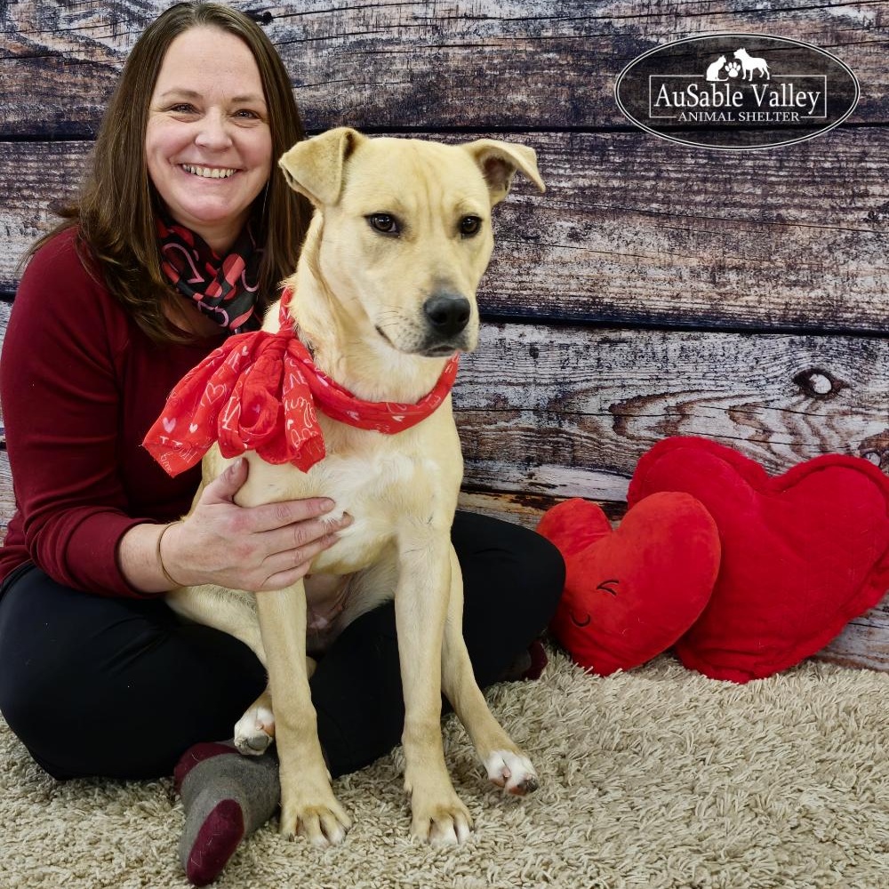 Bianca, ADOPTABLE, Adult Female Mixed Breed.