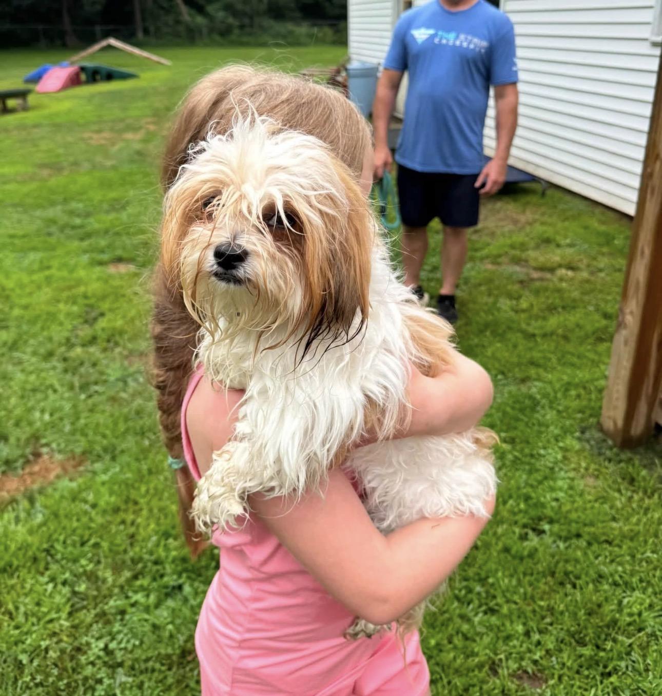 Enlarge Holly, an adopted mixed breed in BLOOMINGTON, NY image 5/5