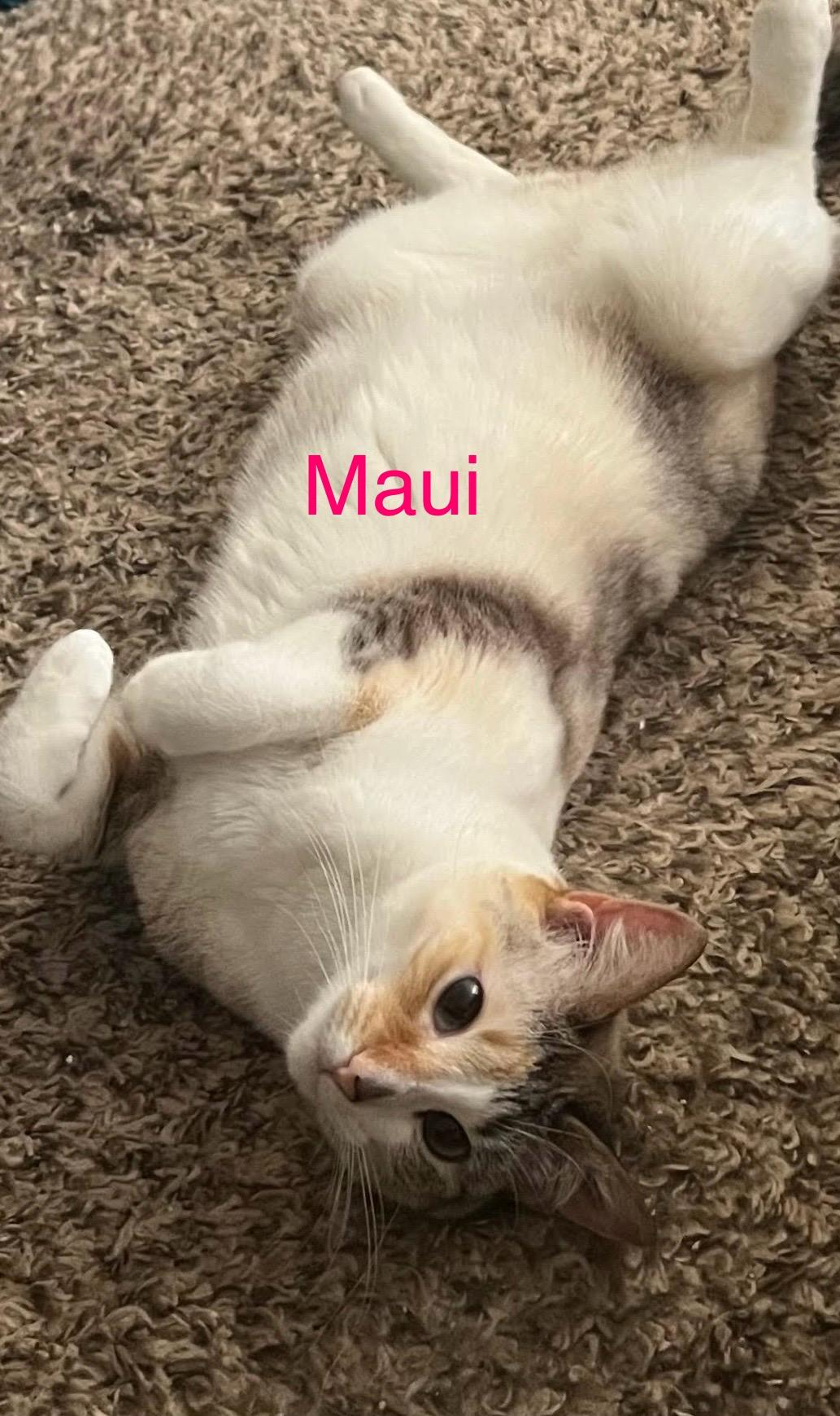 Maui