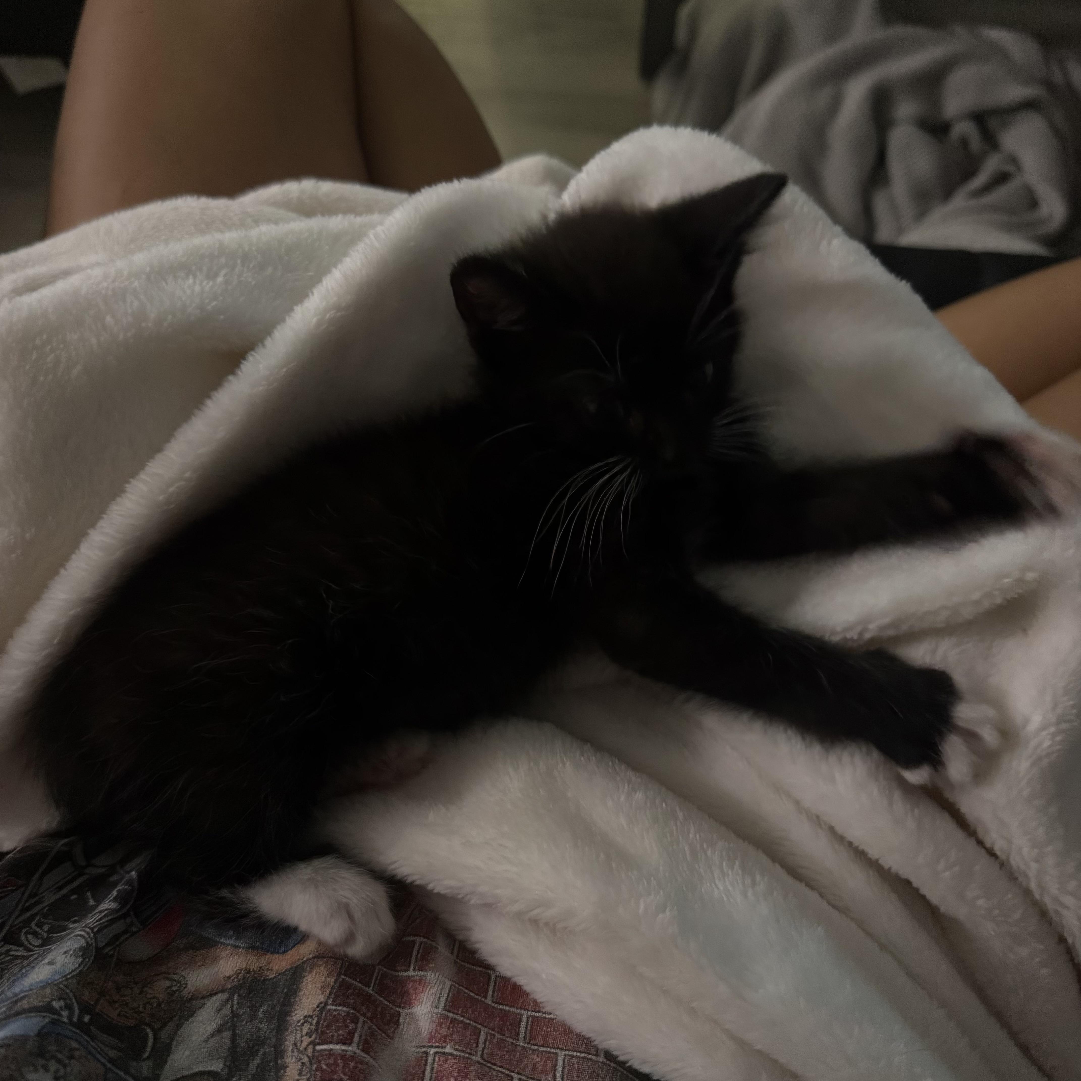 Thumbtack thumbnail 6